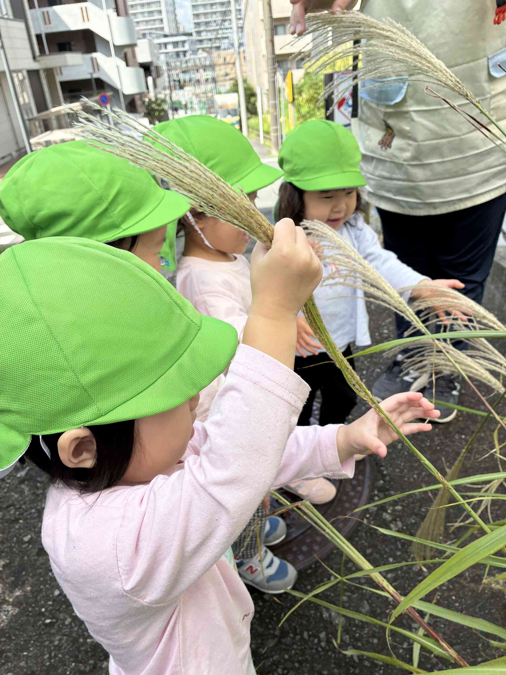 ２歳児　あきだね～～！