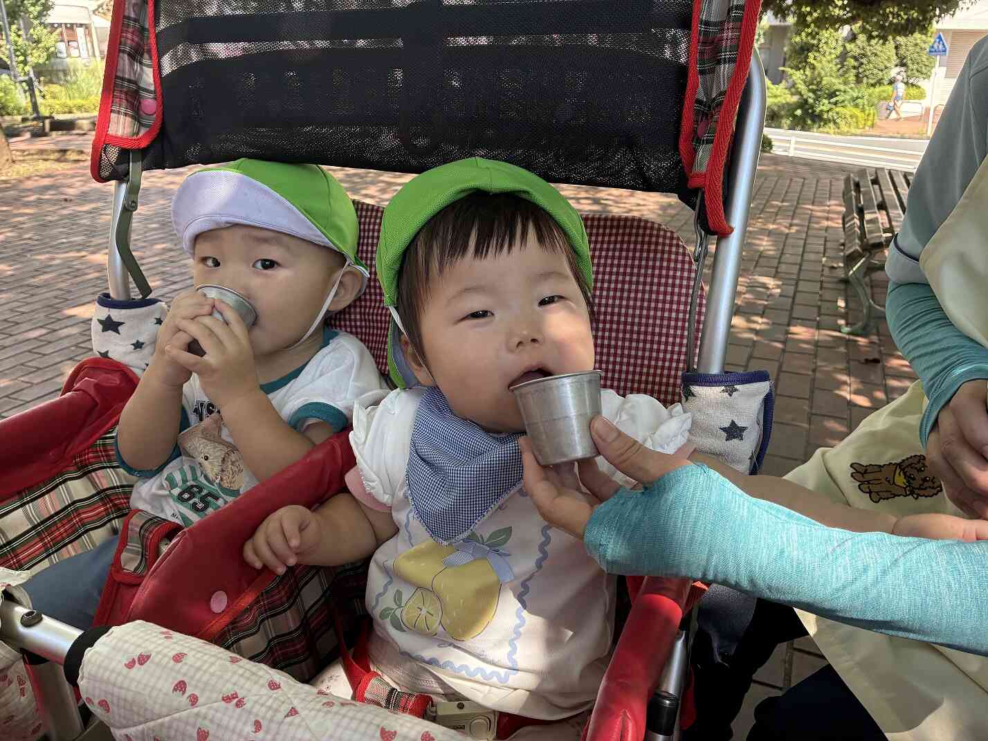 0歳児　秋のおさんぽ