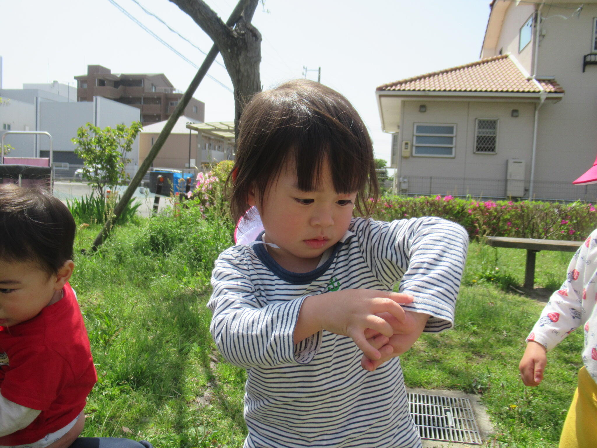 虫を見つけたよ！