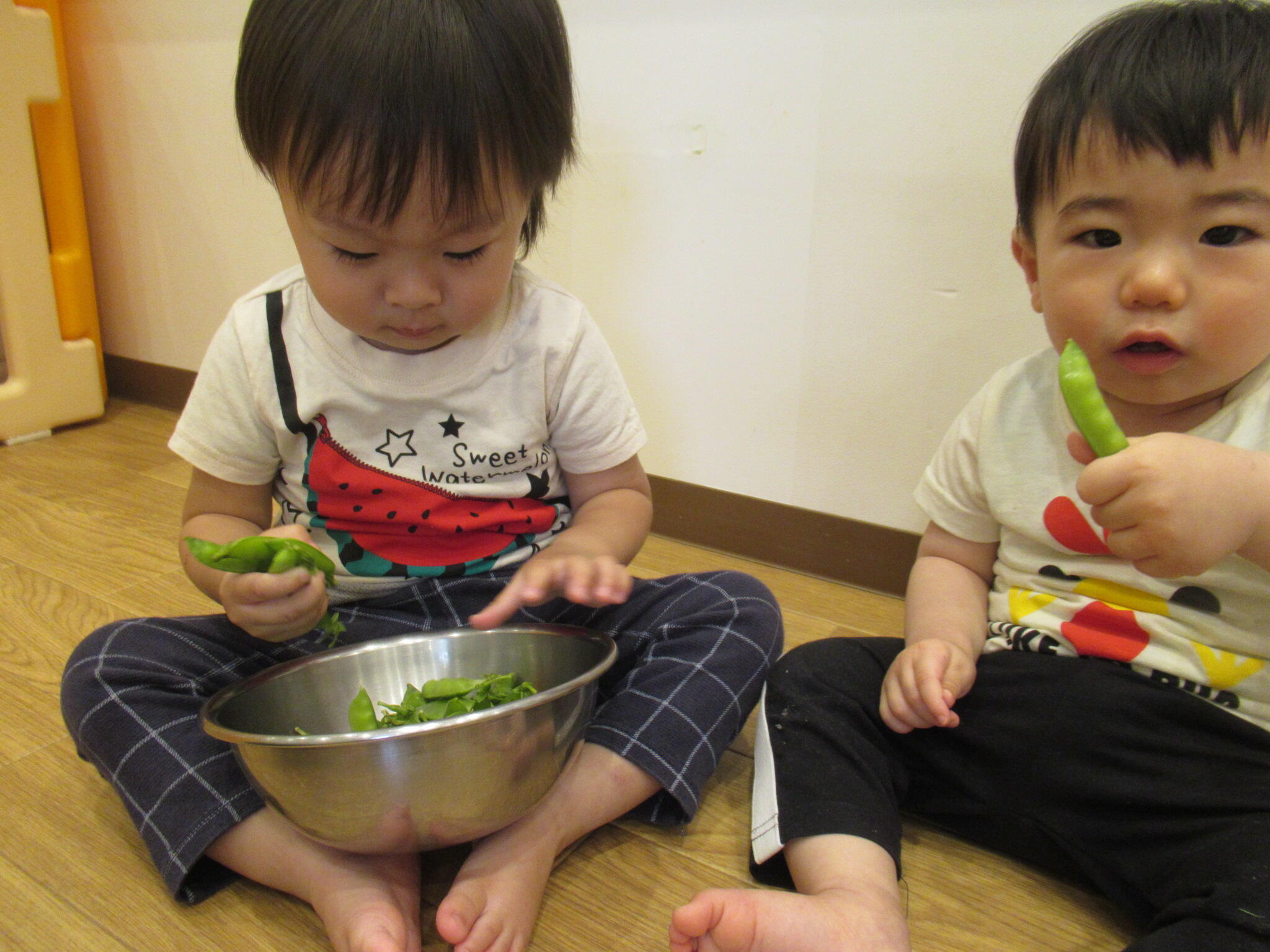 ぱんだ組・こあら組のお友だちも豆をさわりました。