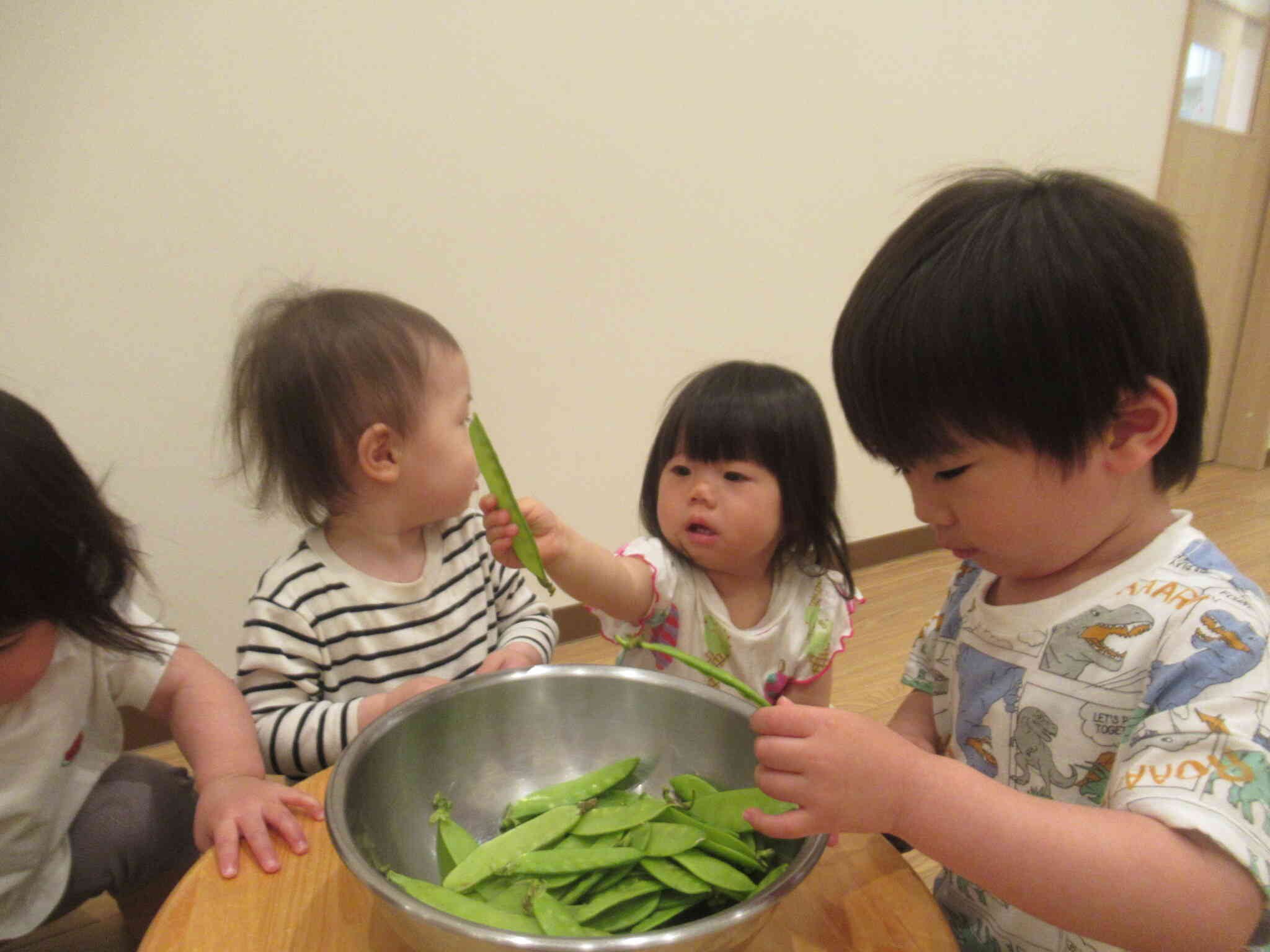5月食育（こあら組）