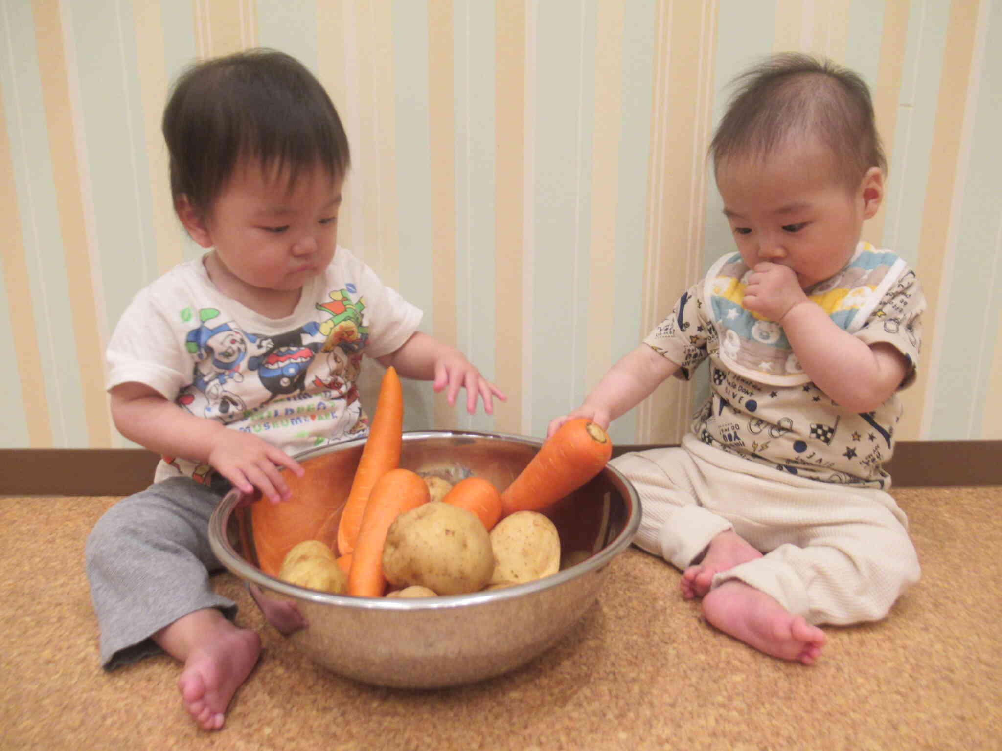 ぱんだ組さんもじゃがいもとにんじんをさわったよ♡