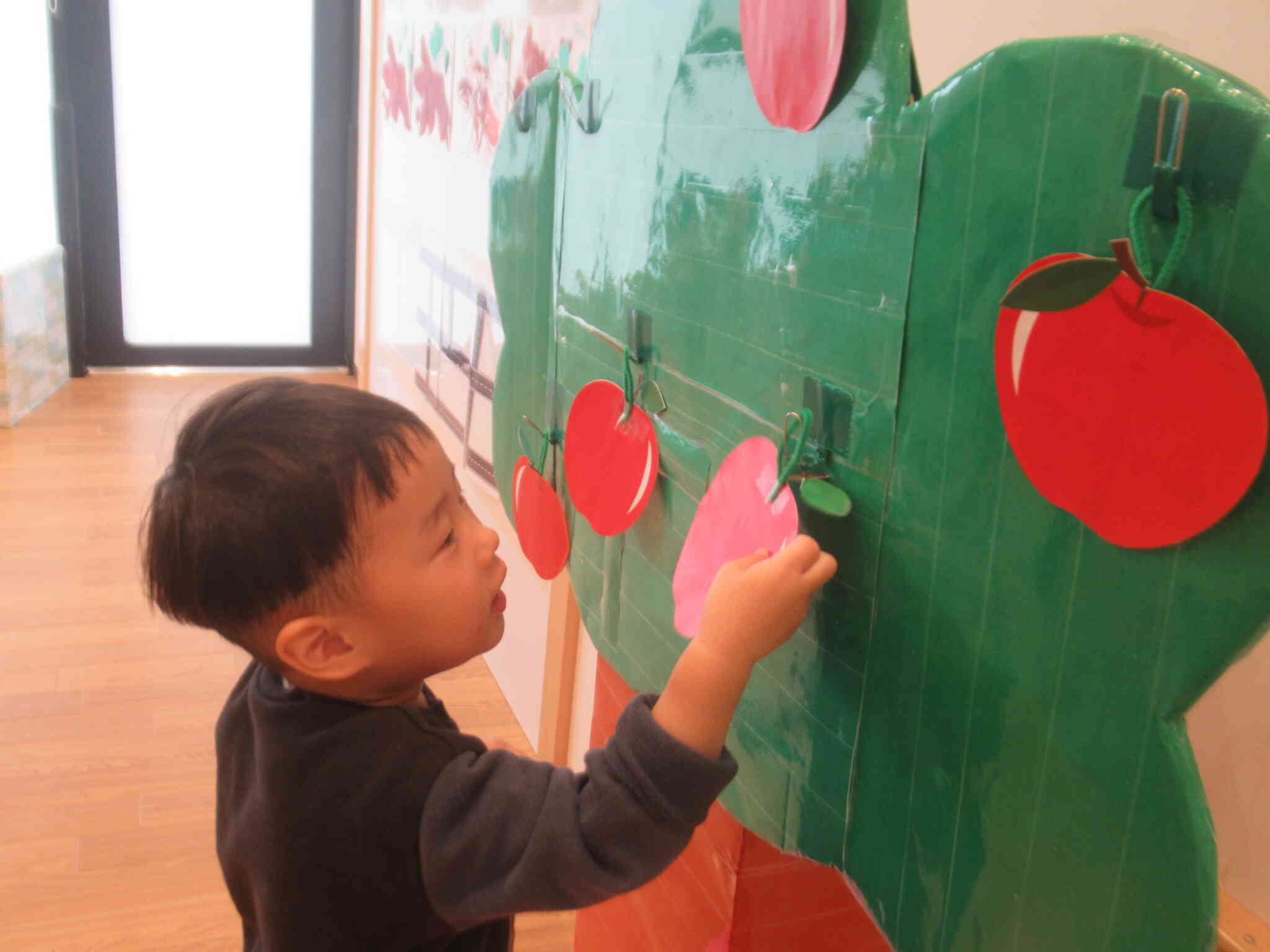 １１月食育「りんごをさわろう、食べてみよう（きりん組）」