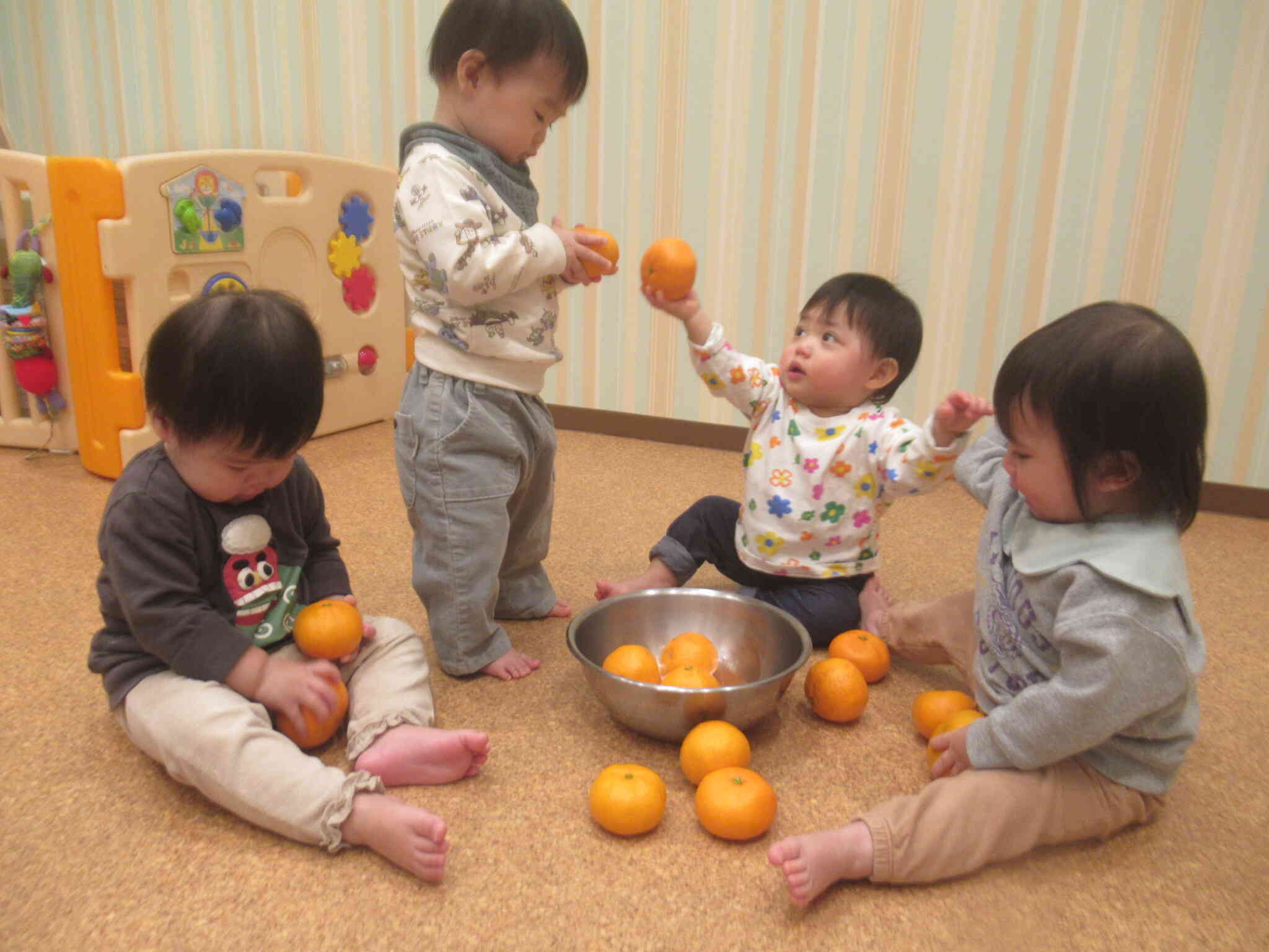 １月食育（ぱんだ組・こあら組）