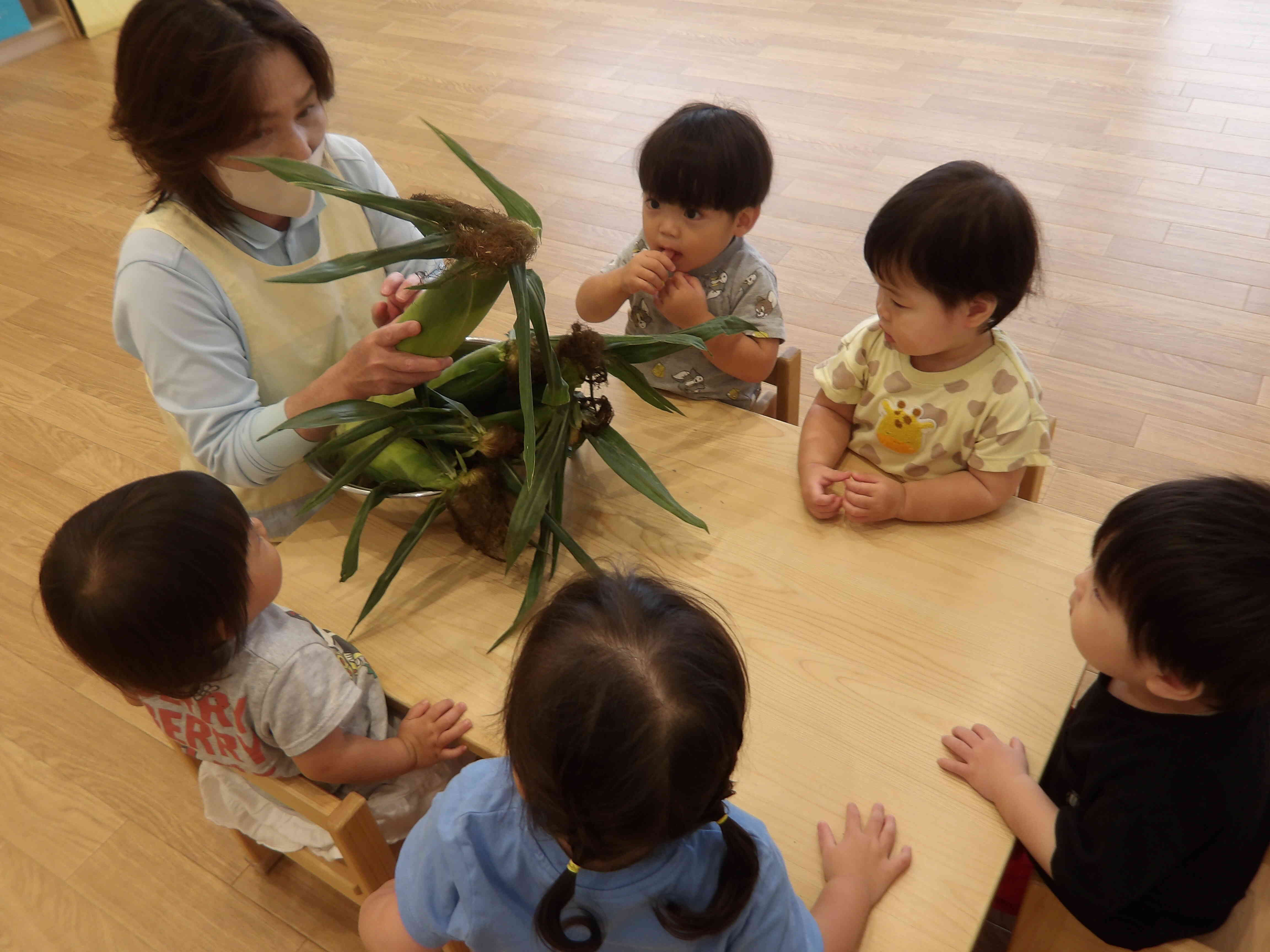 7月食育（こあら組）