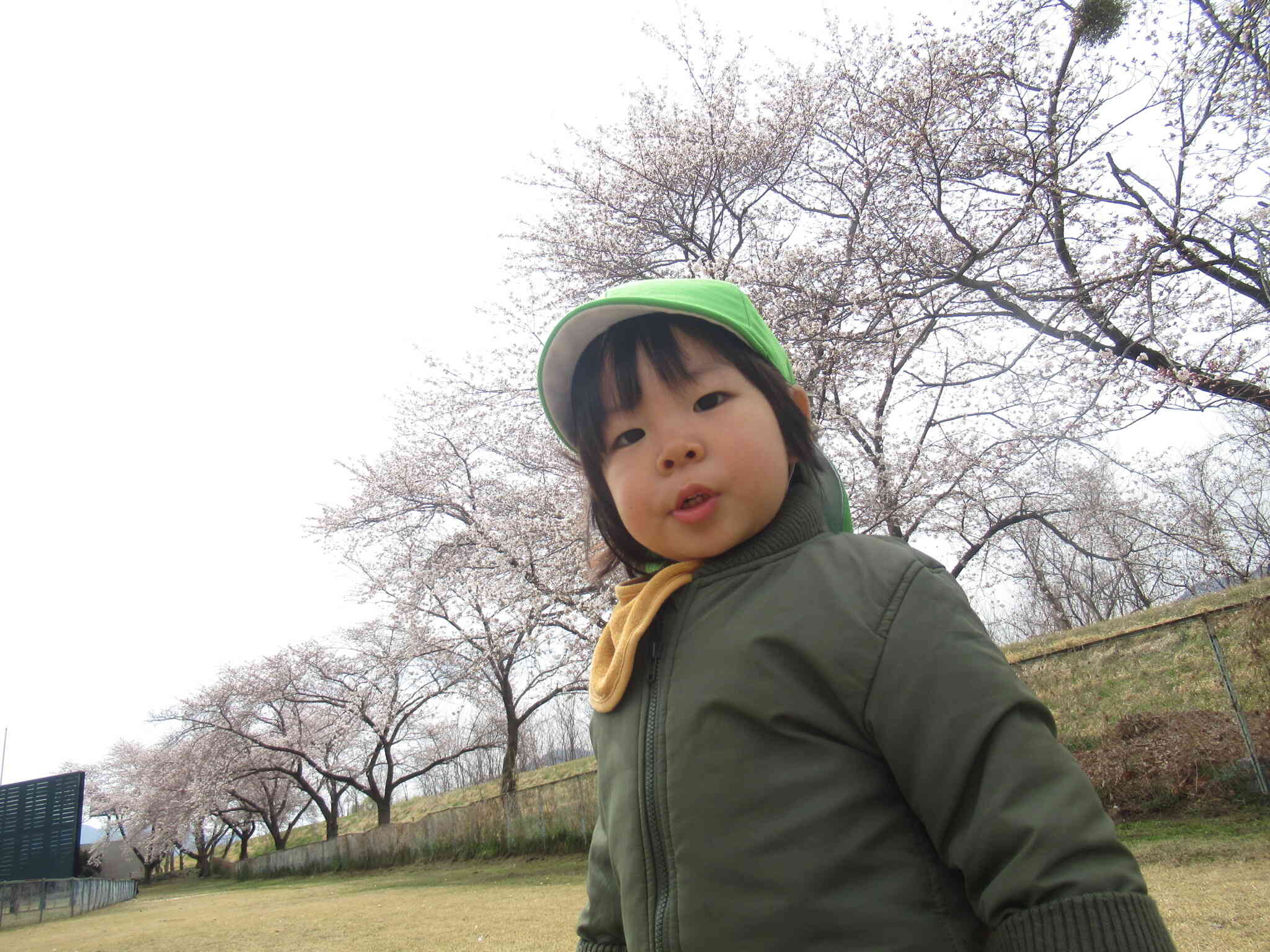 お花見散歩たのしみだね