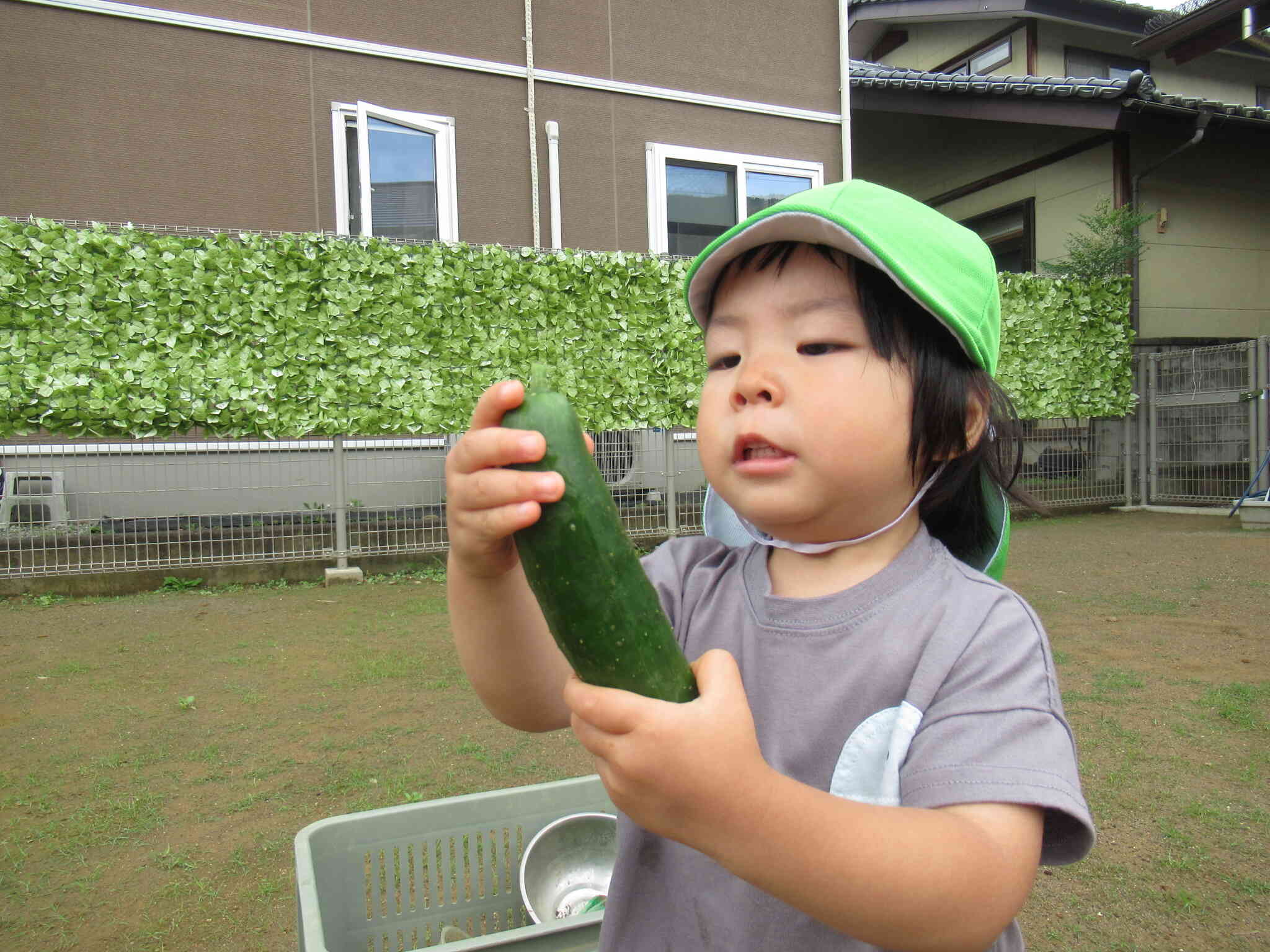 おおきいよぉ！