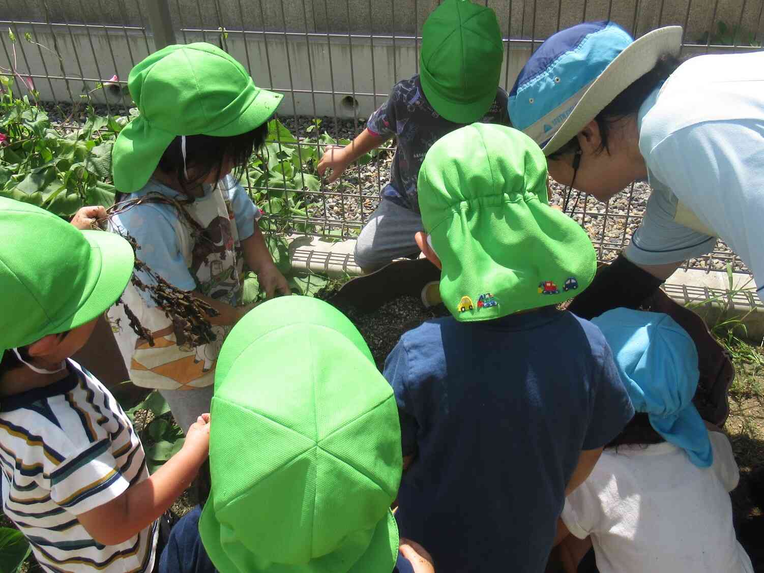 みんなでほってみよう！