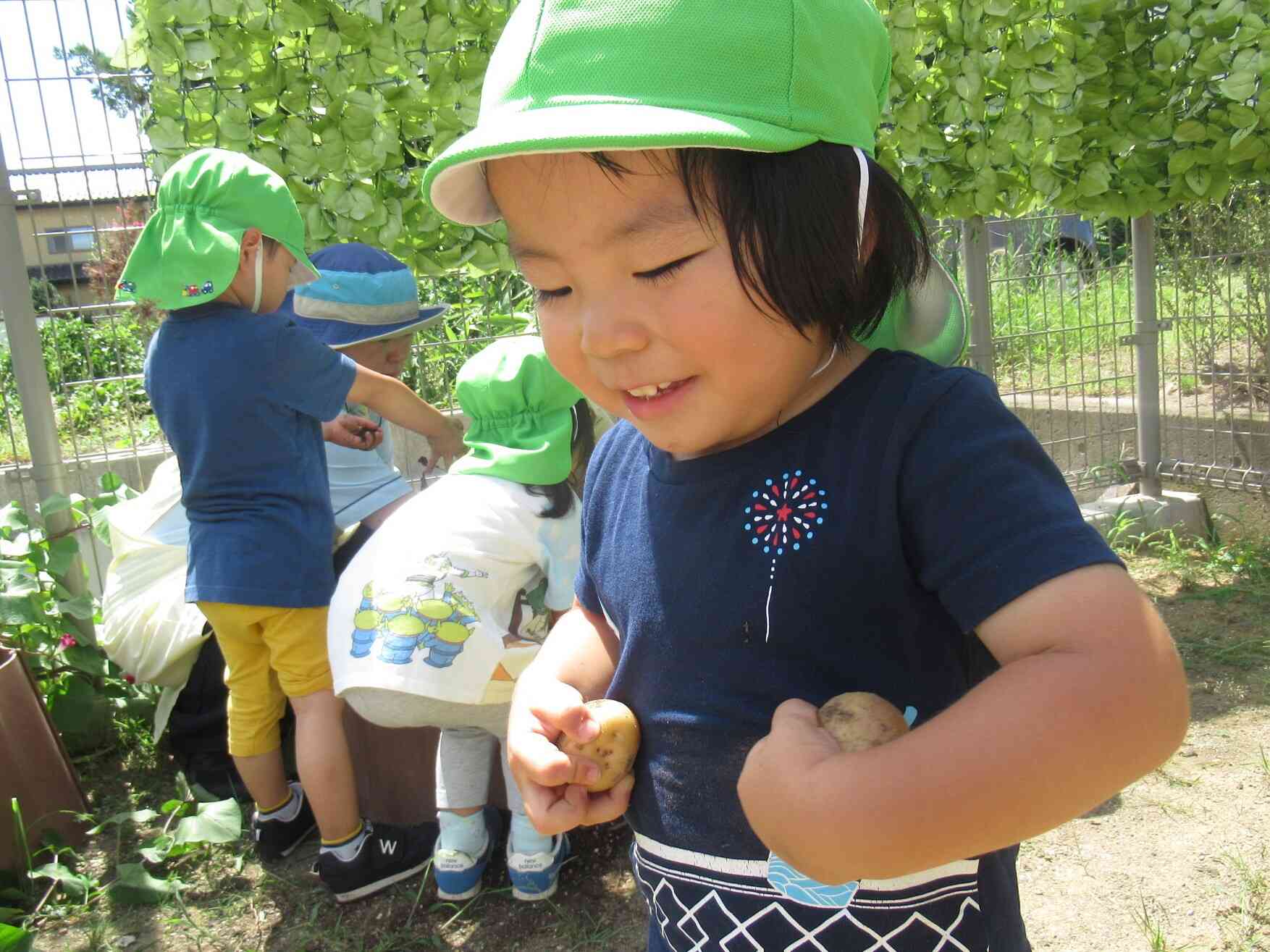 みんなの畑☆野菜の収穫