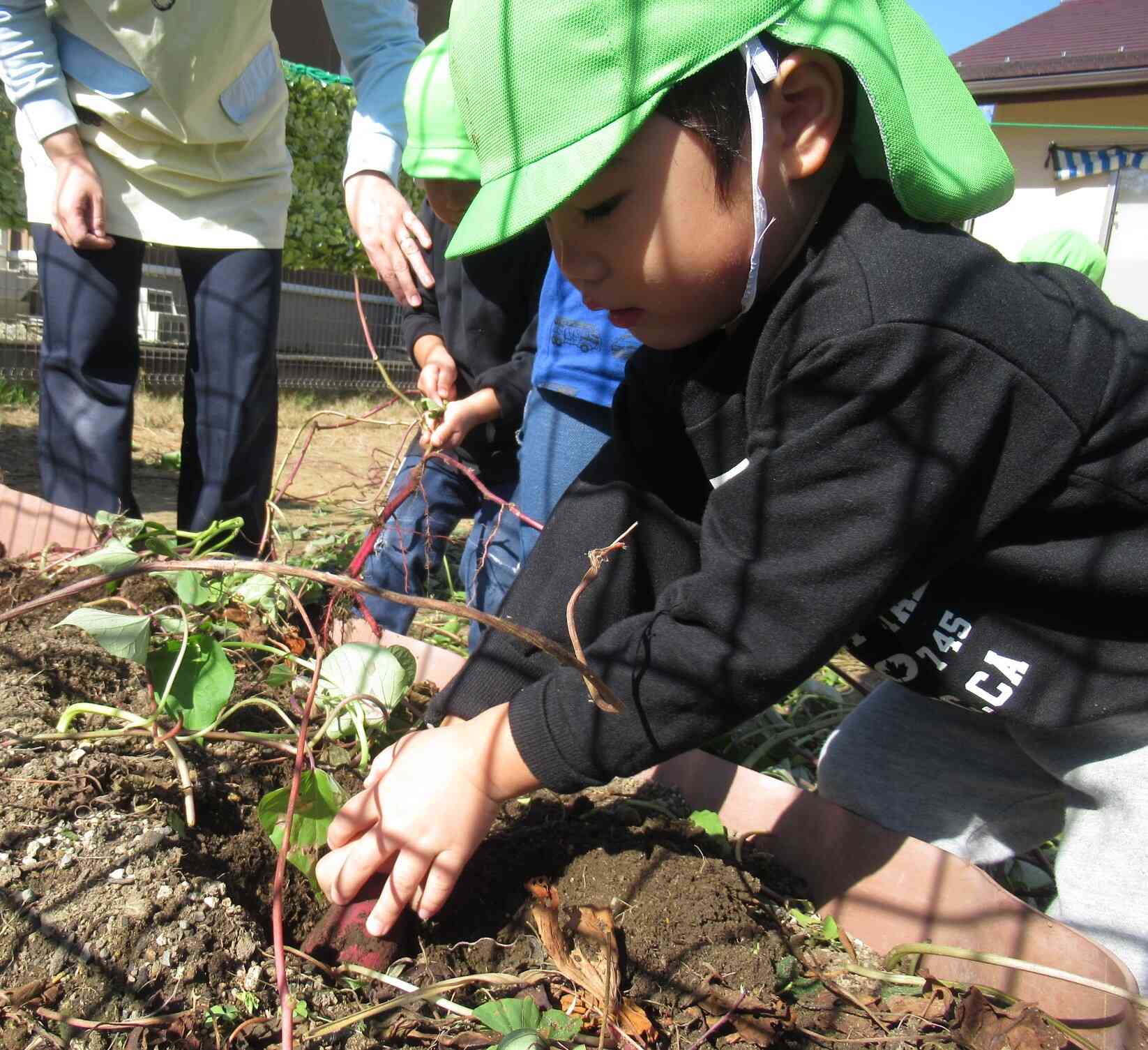 やさしくほるよ♪