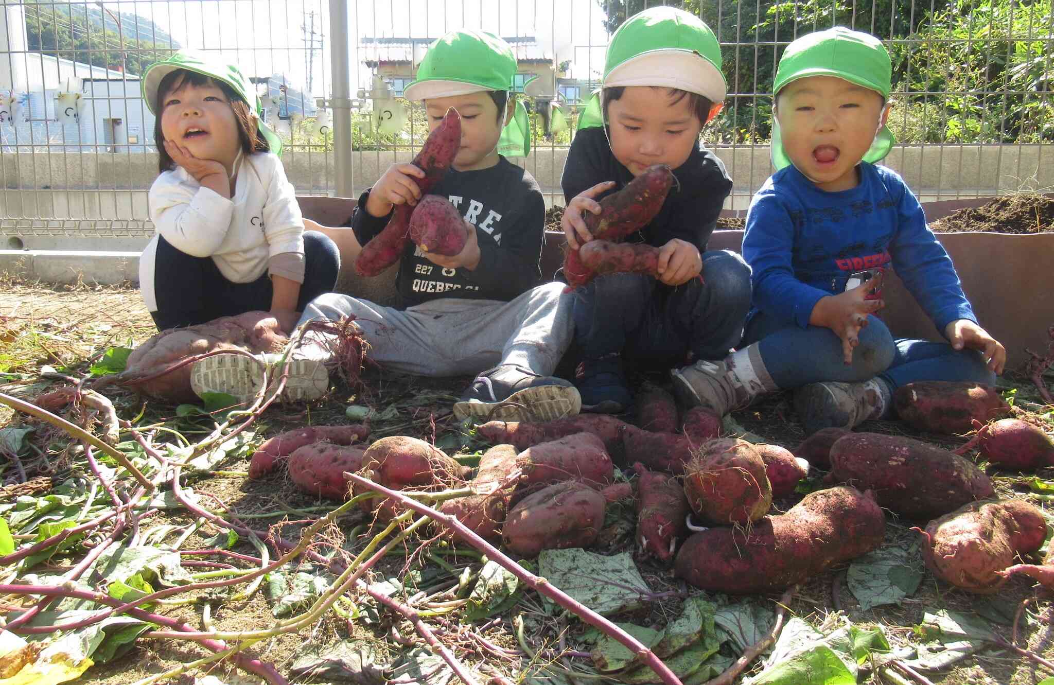 たくさんあるよ！