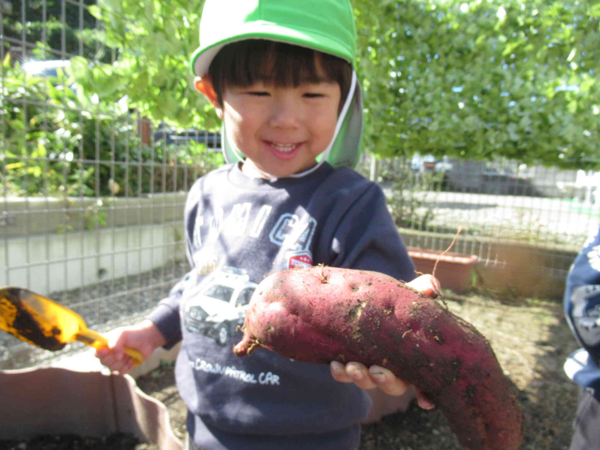 おおきなおいも！