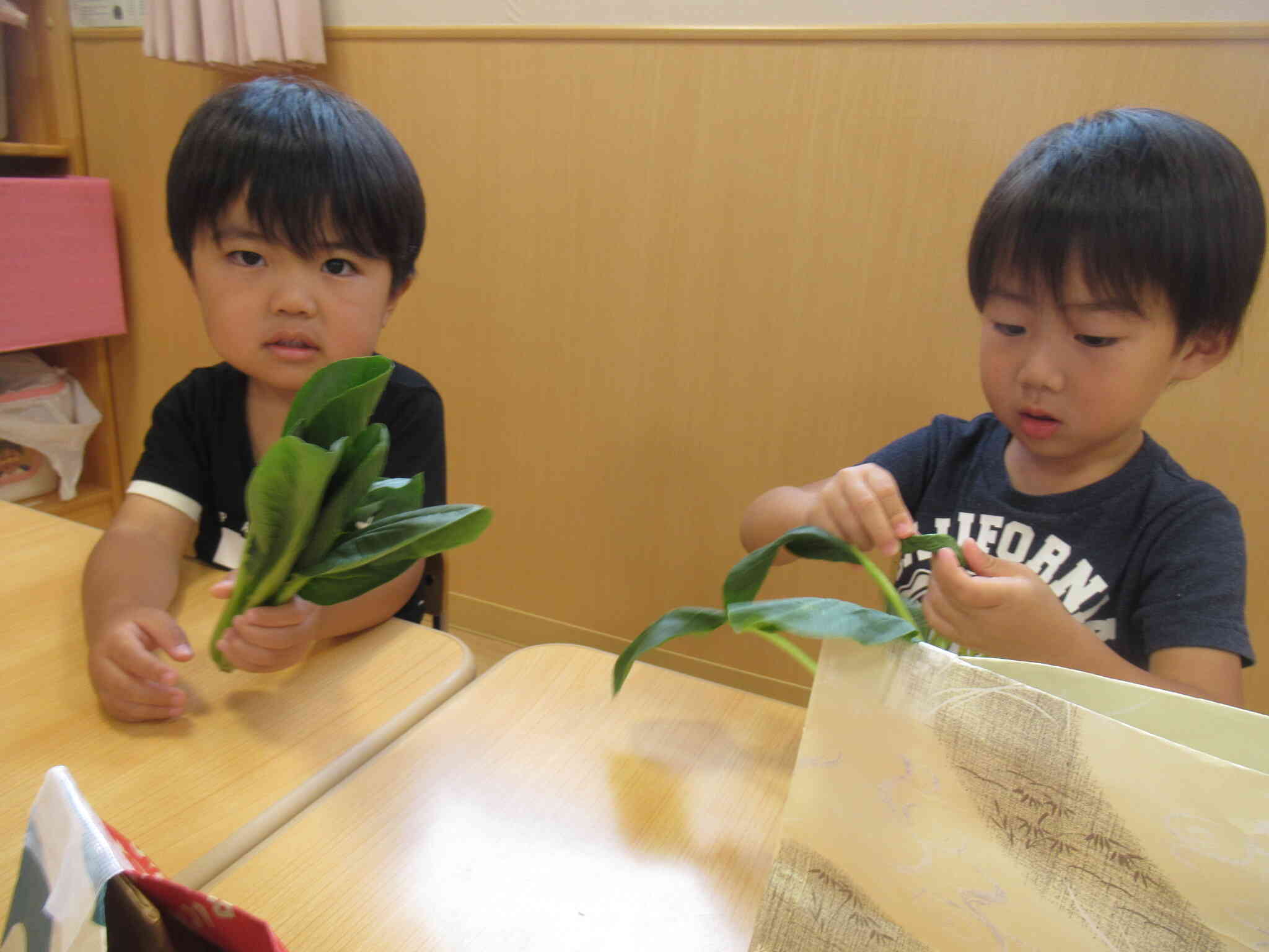 入っていたのは…？