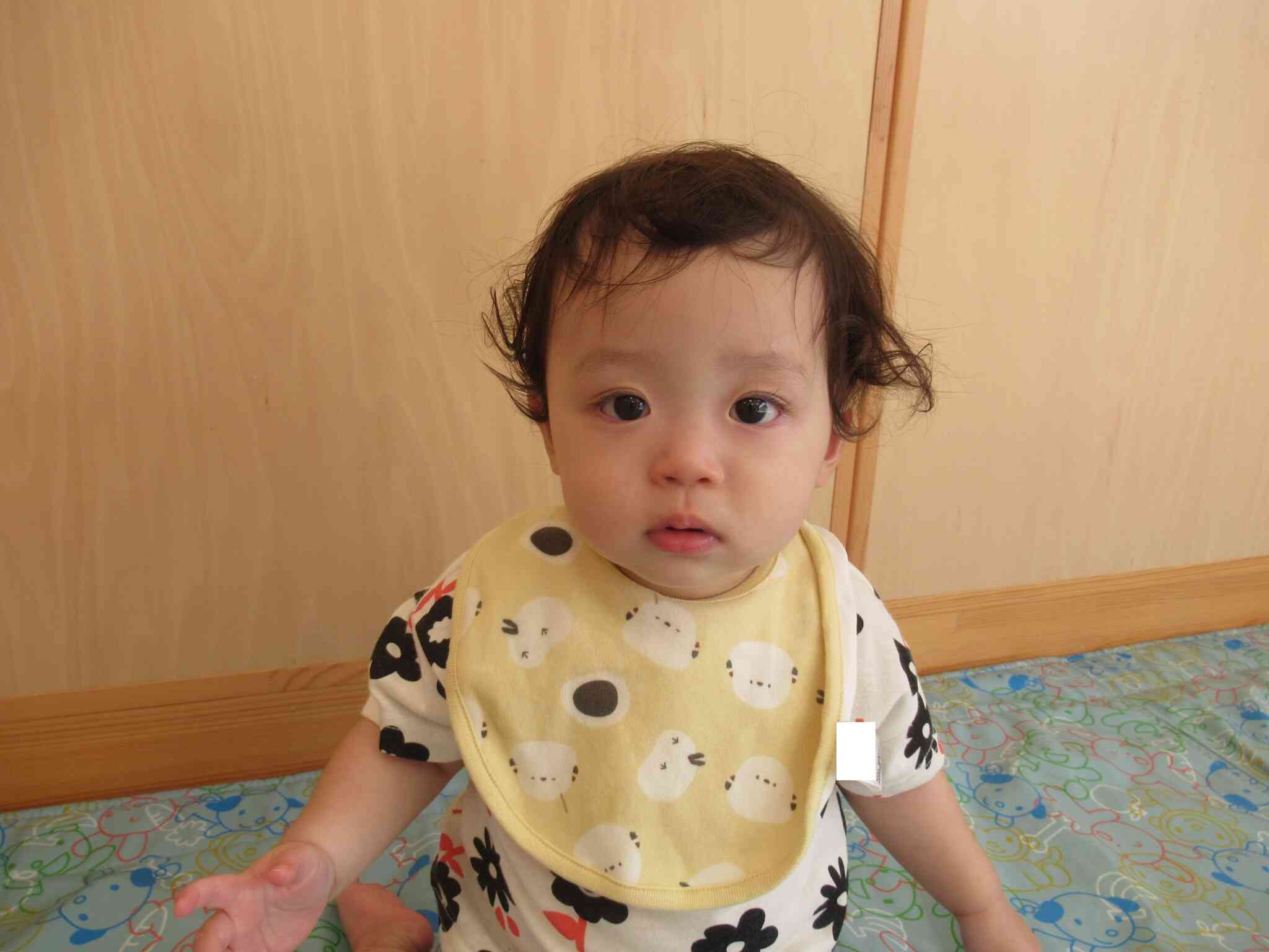 新しいお友だち