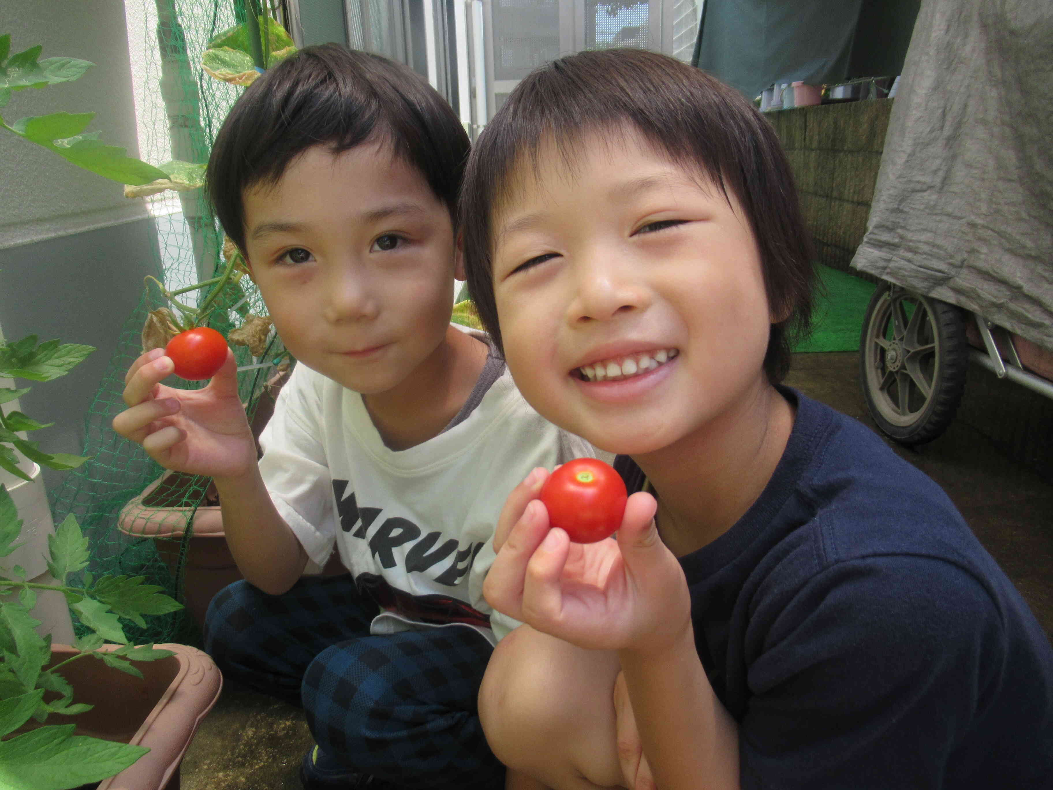 ぱんだ・きりん組（4・5歳児クラス）～日常の様子～