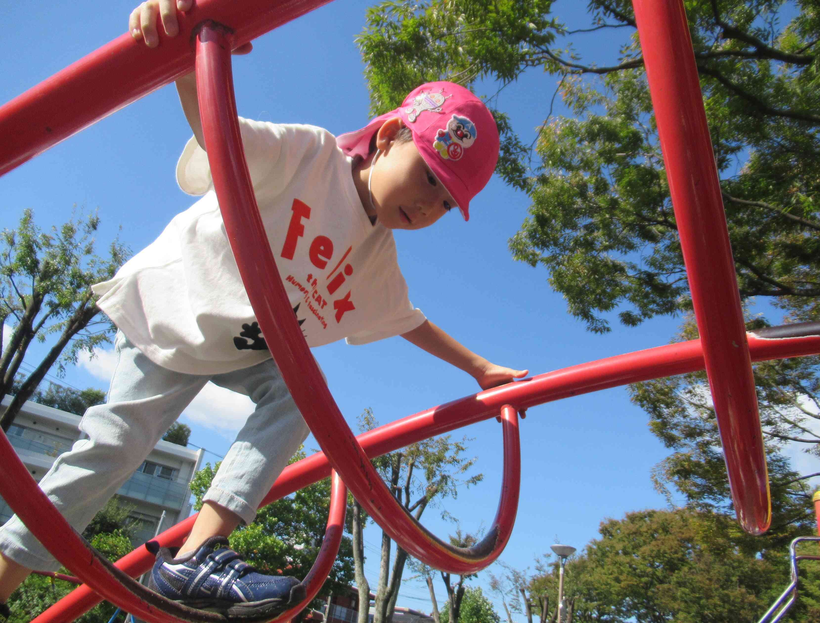 高いところも登れるようになったよ！