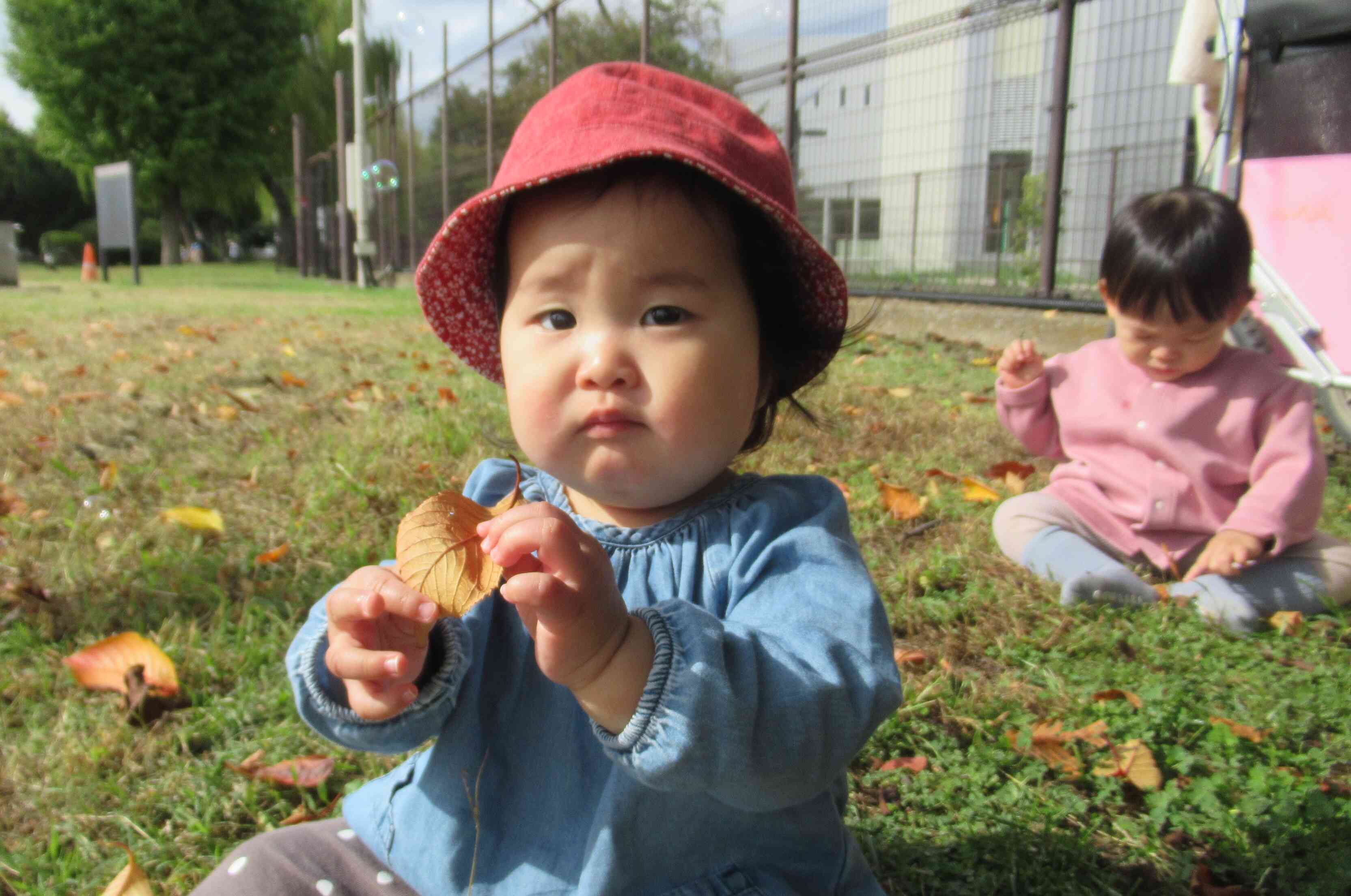 ひよこ組（０歳児クラス）～戸外遊びの様子～