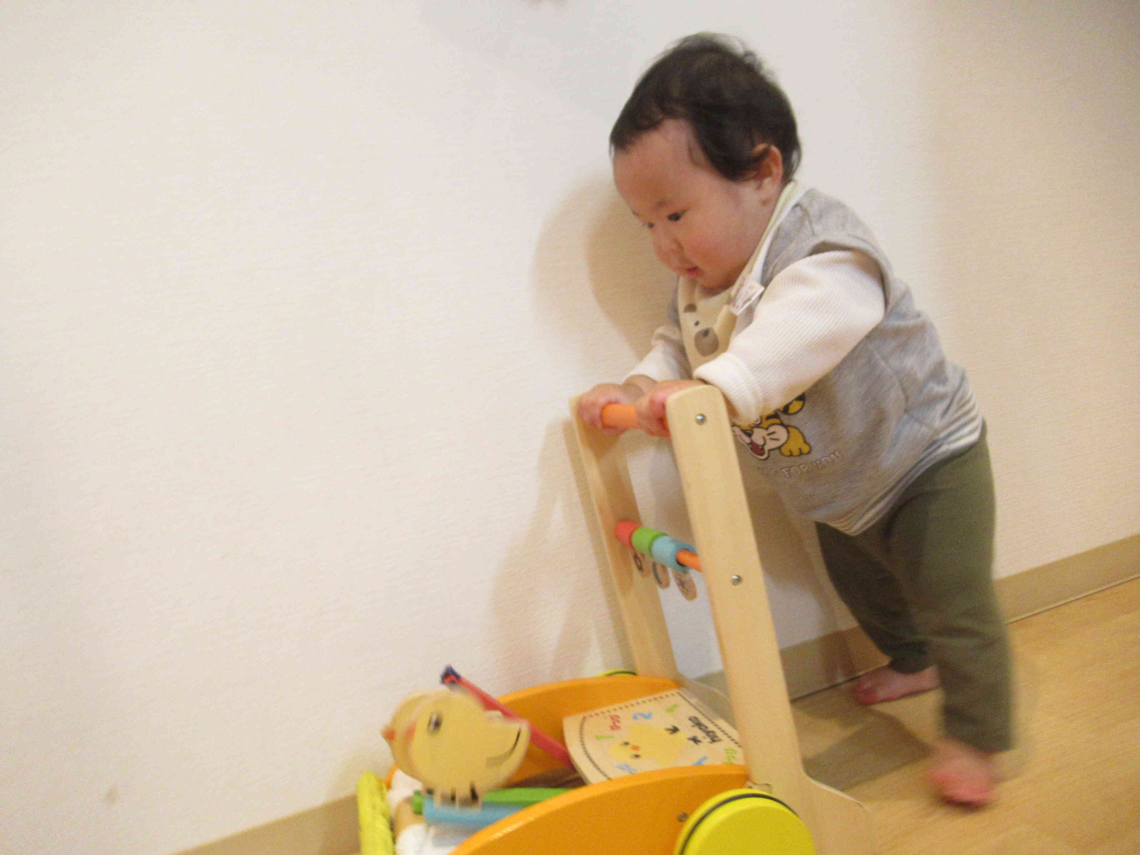 押し車たのしいね♬