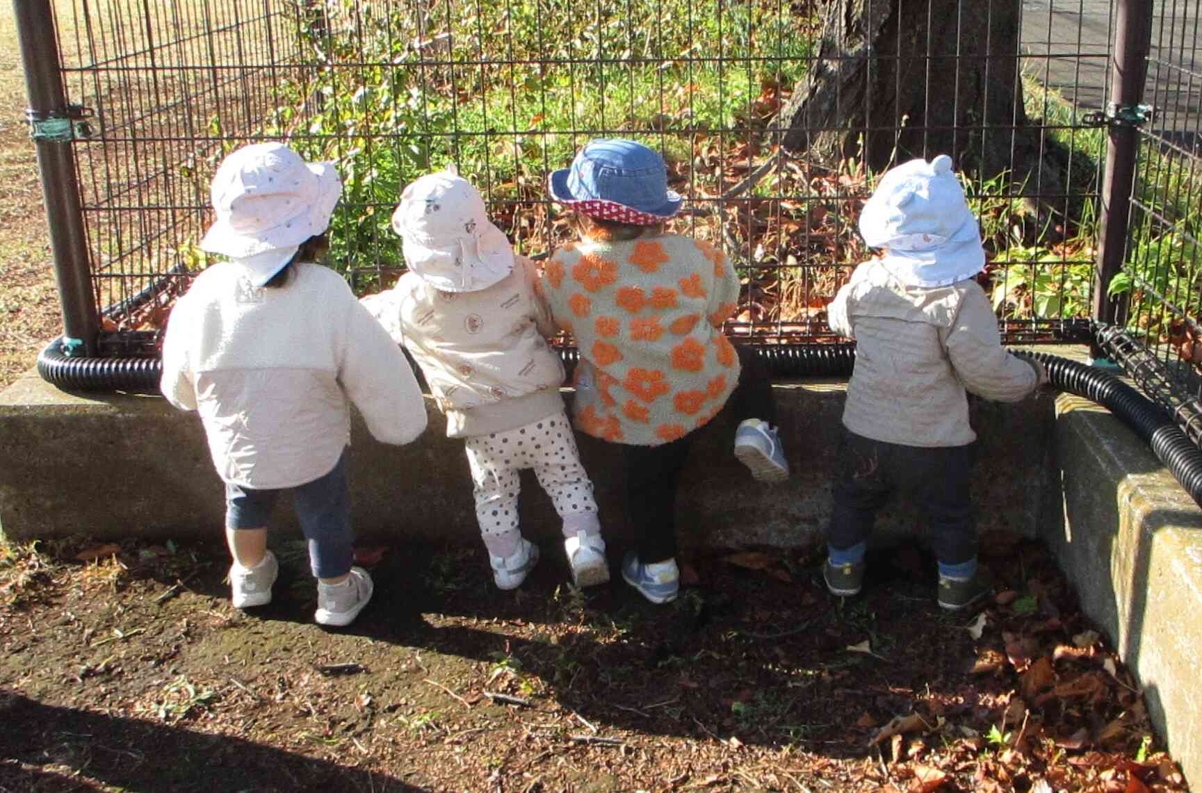 ひよこ組（０歳児）～戸外活動～