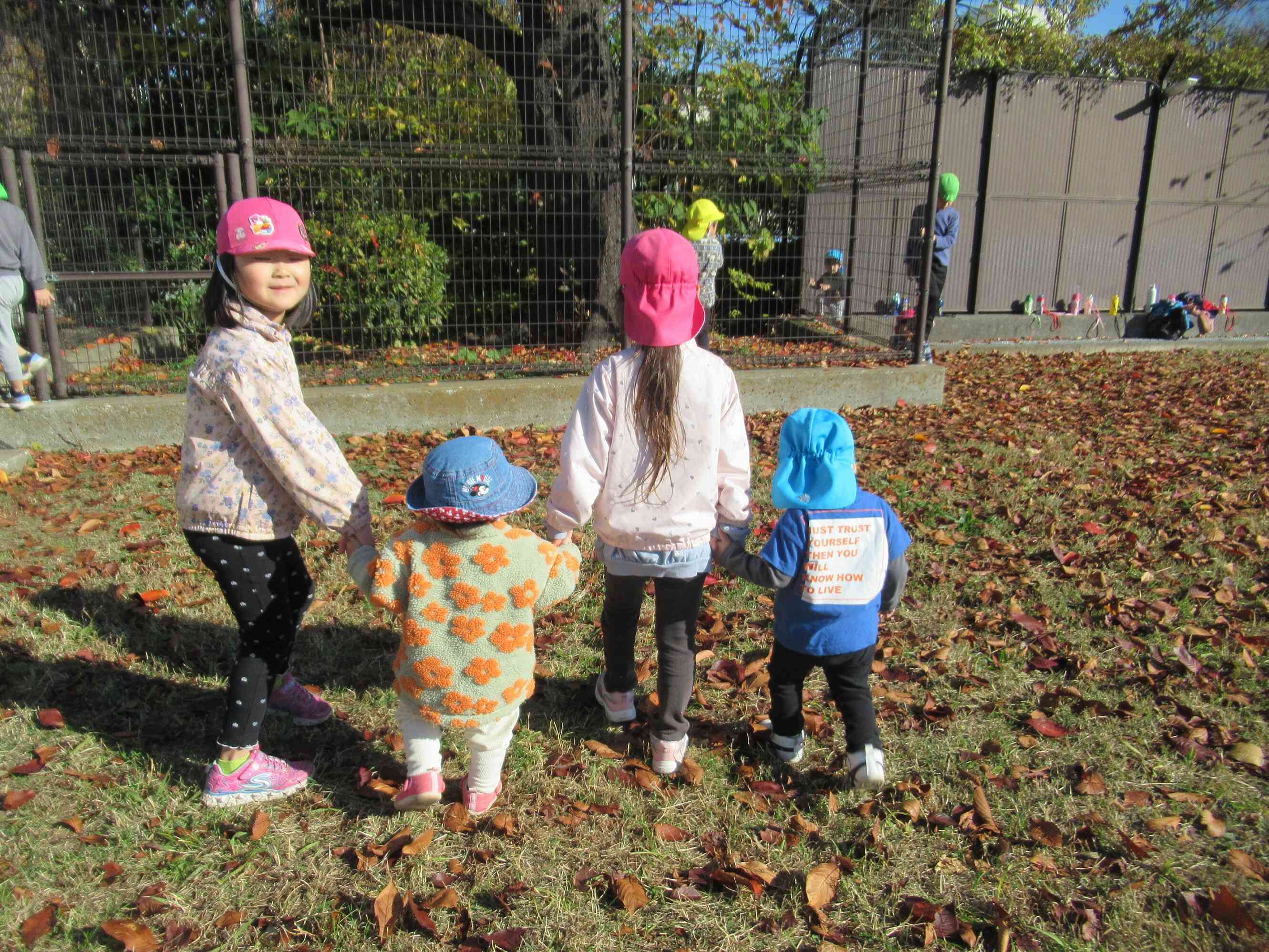 ひよこ・あひる・りす・ぱんだ・きりん組(0・1・3・4・5歳児)～戸外遊びの様子～