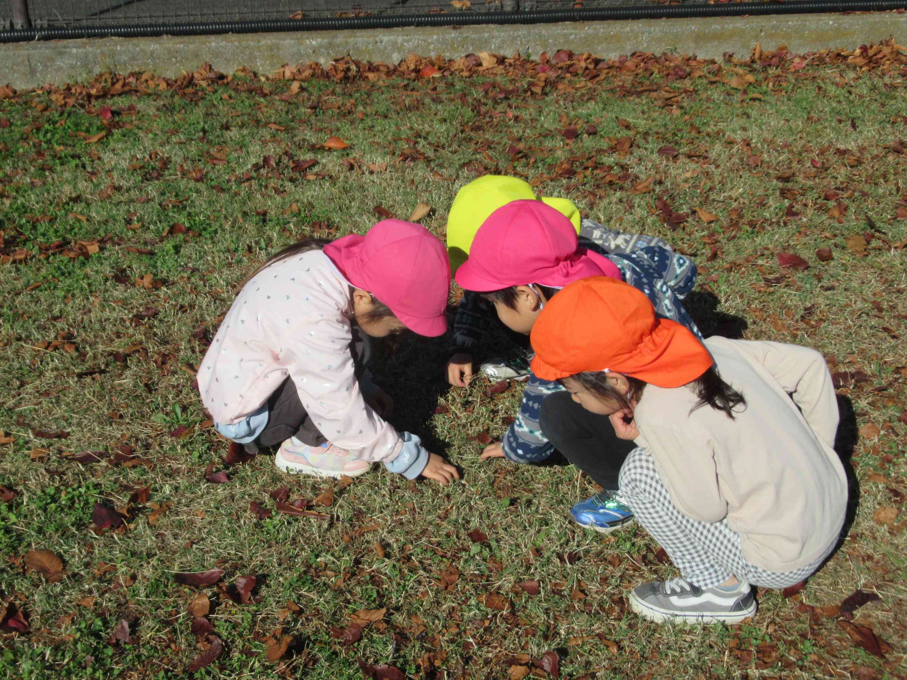 これ何だろうね？