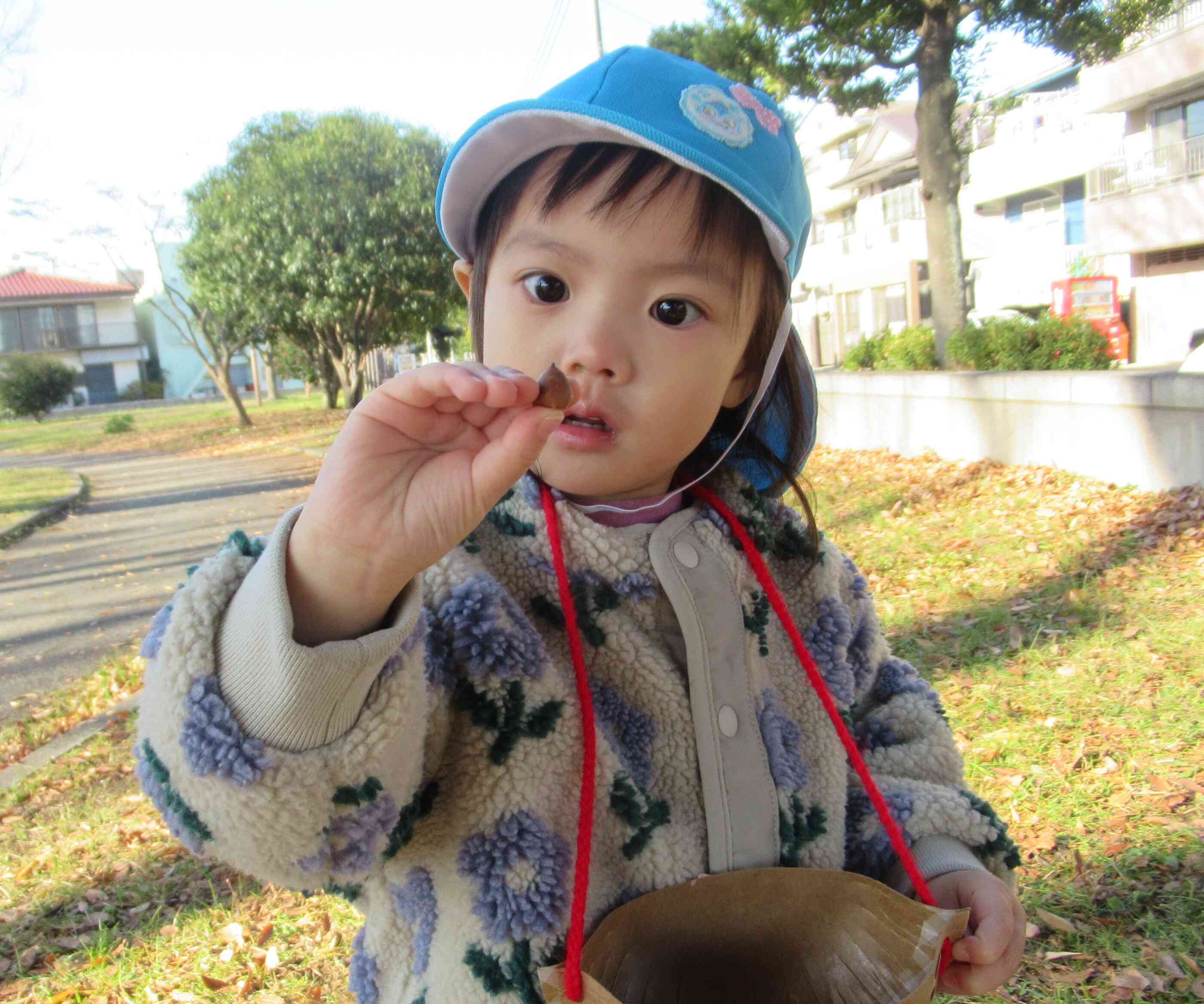 じゃじゃ～ん！