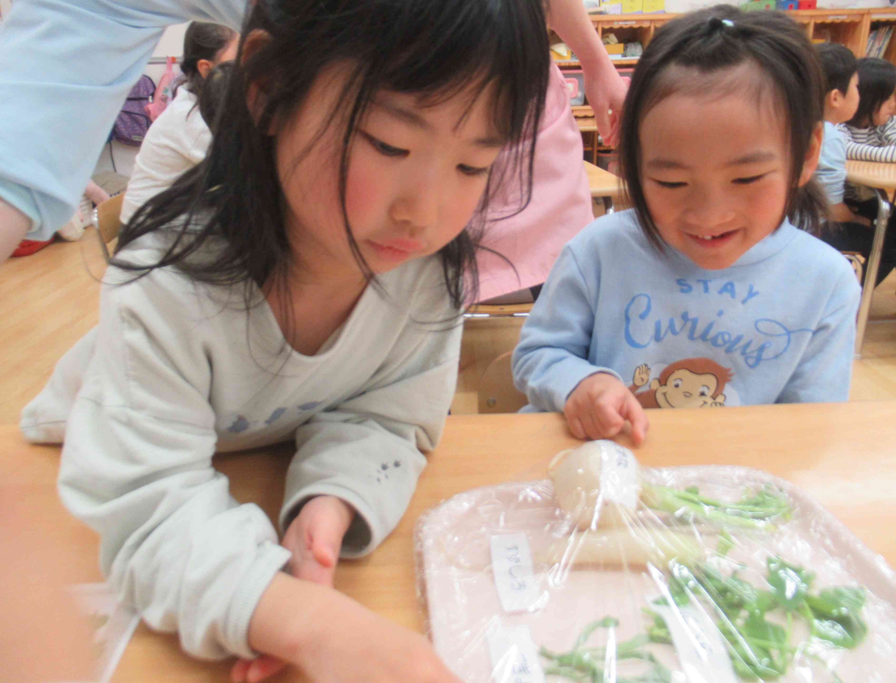 葉っぱがいっぱいだね！