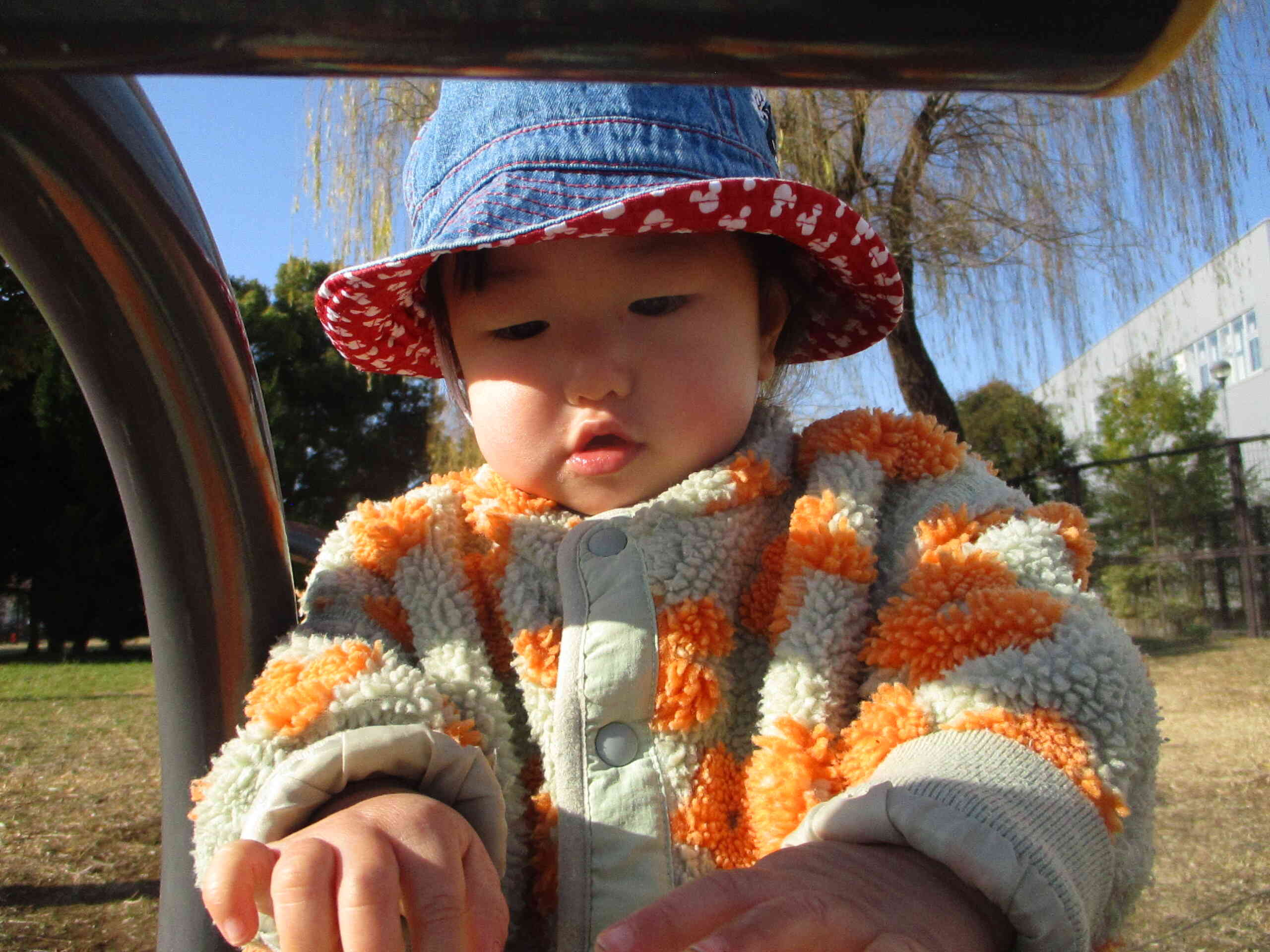 何かみつけたかな？