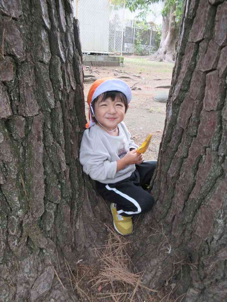 まつぼっくりがあったとさ♪｜ニチイキッズ平塚ラスカ保育園｜ニチイキッズ