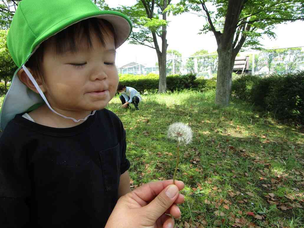 ２歳児さん単独散歩♪