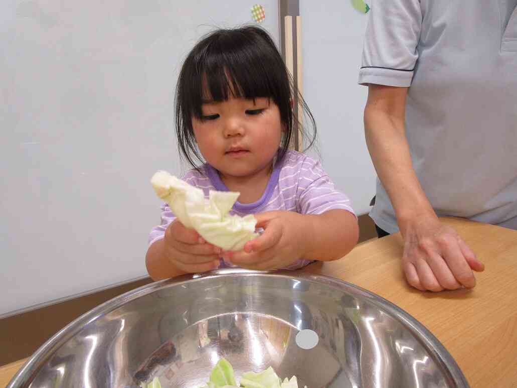 5月の食育～そら豆の皮むきとキャベツの葉ちぎり～その2