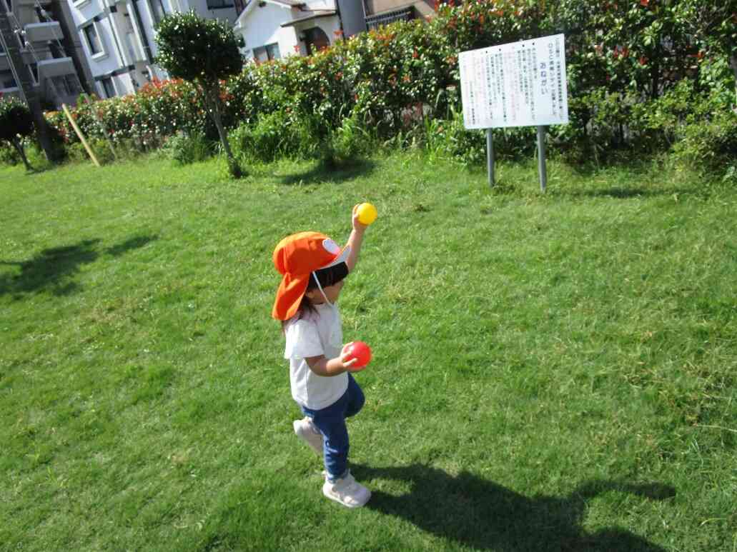 うんどうかいごっこ～1・2歳児クラス～玉入れ