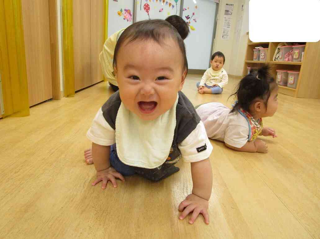 うんどうかいごっこ～0歳児クラス～ハイハイ競争