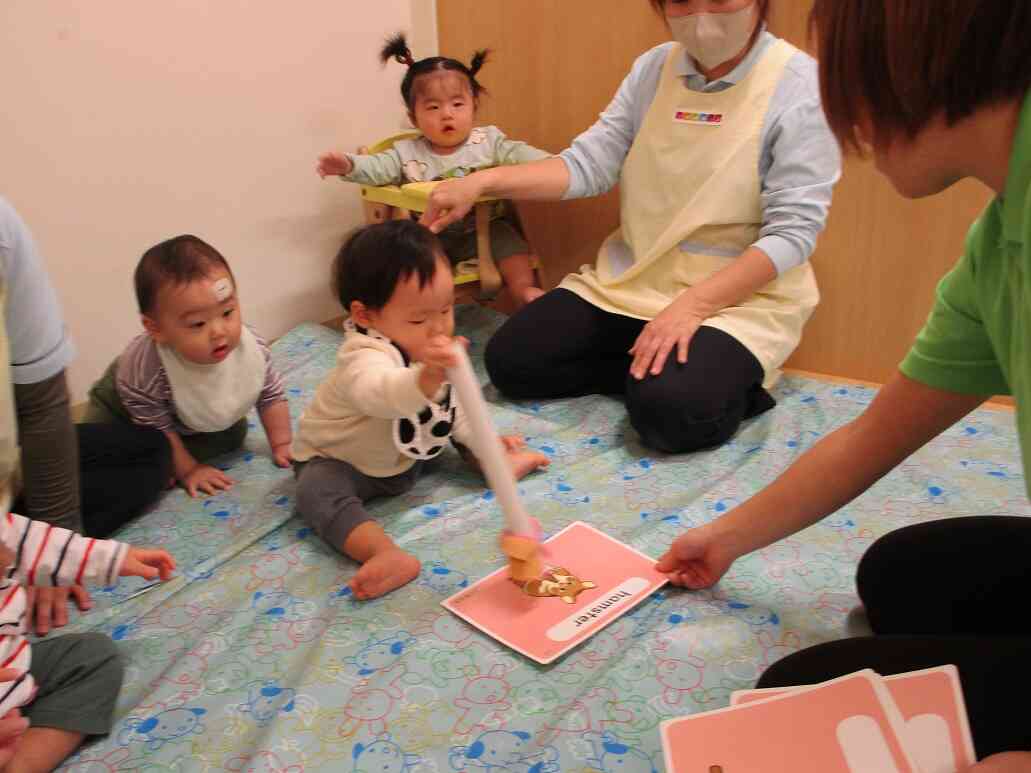 Pets are running away!