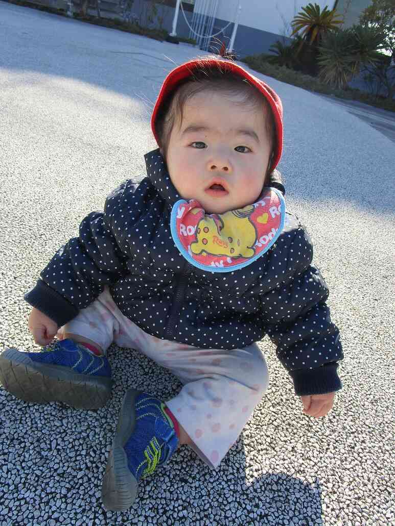 0歳児クラスの単独散歩♪