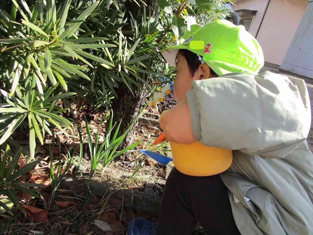 1歳・2歳児さんのお散歩No.1