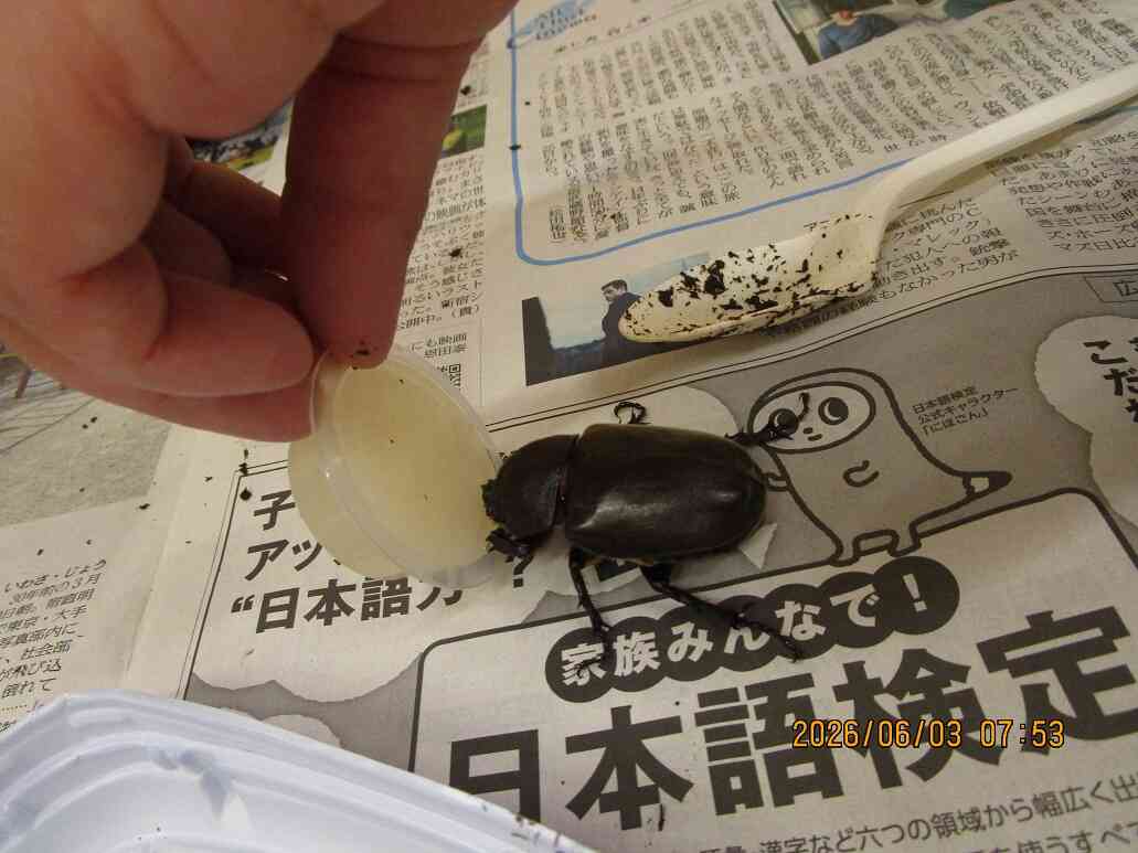 元気にすくすく大きくなぁれ！！