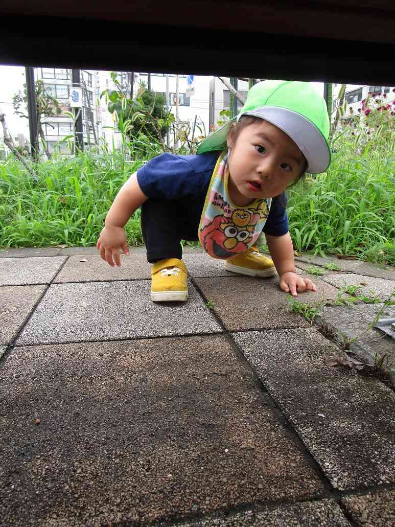 夕方散歩♪