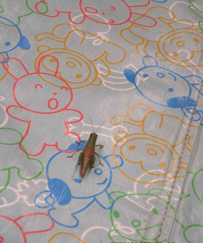 今にも跳びそう！！