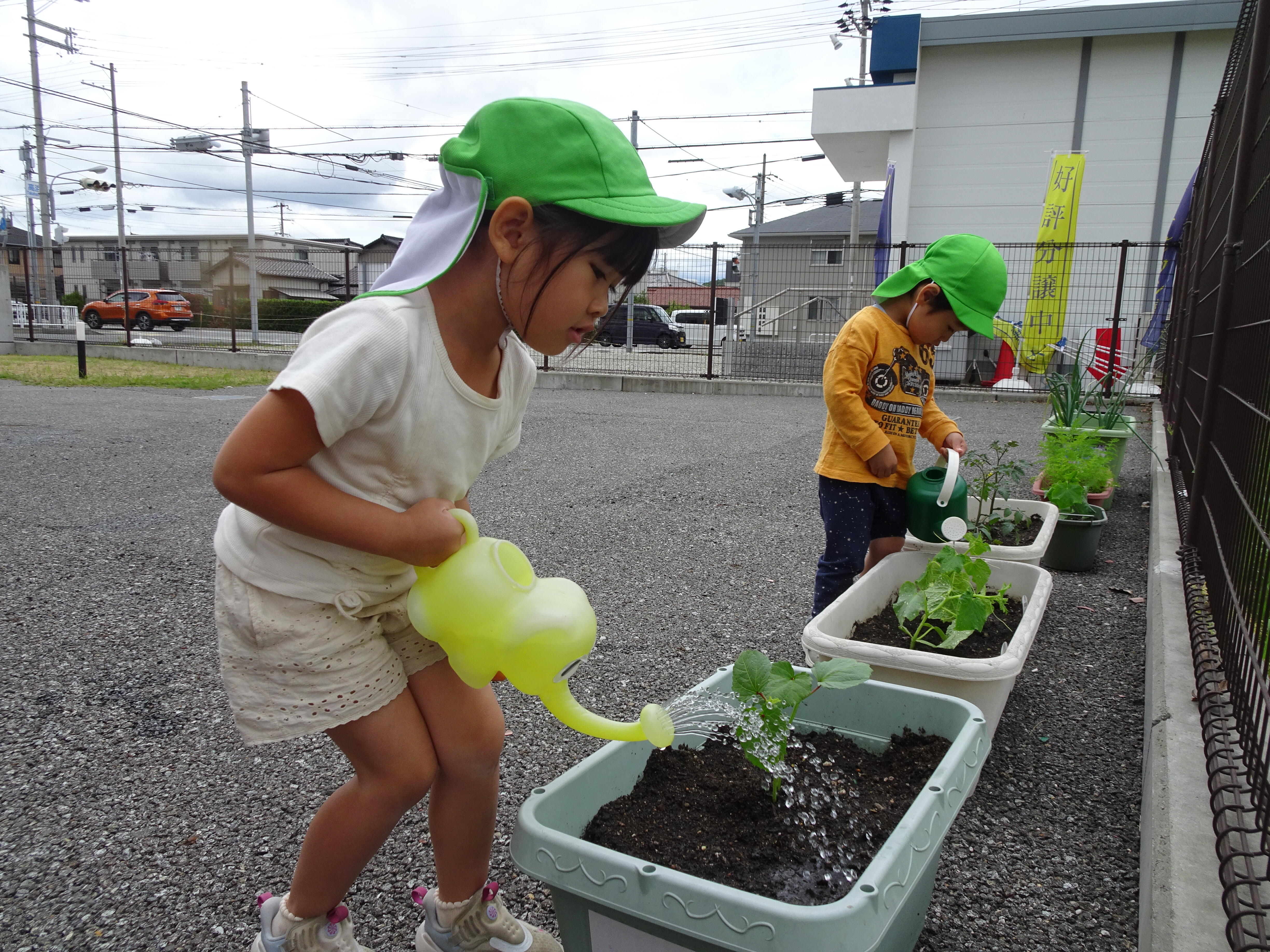 野菜の苗植え☆｜日本製鉄株式会社 瀬戸内製鉄所 広畑あおぞら保育園