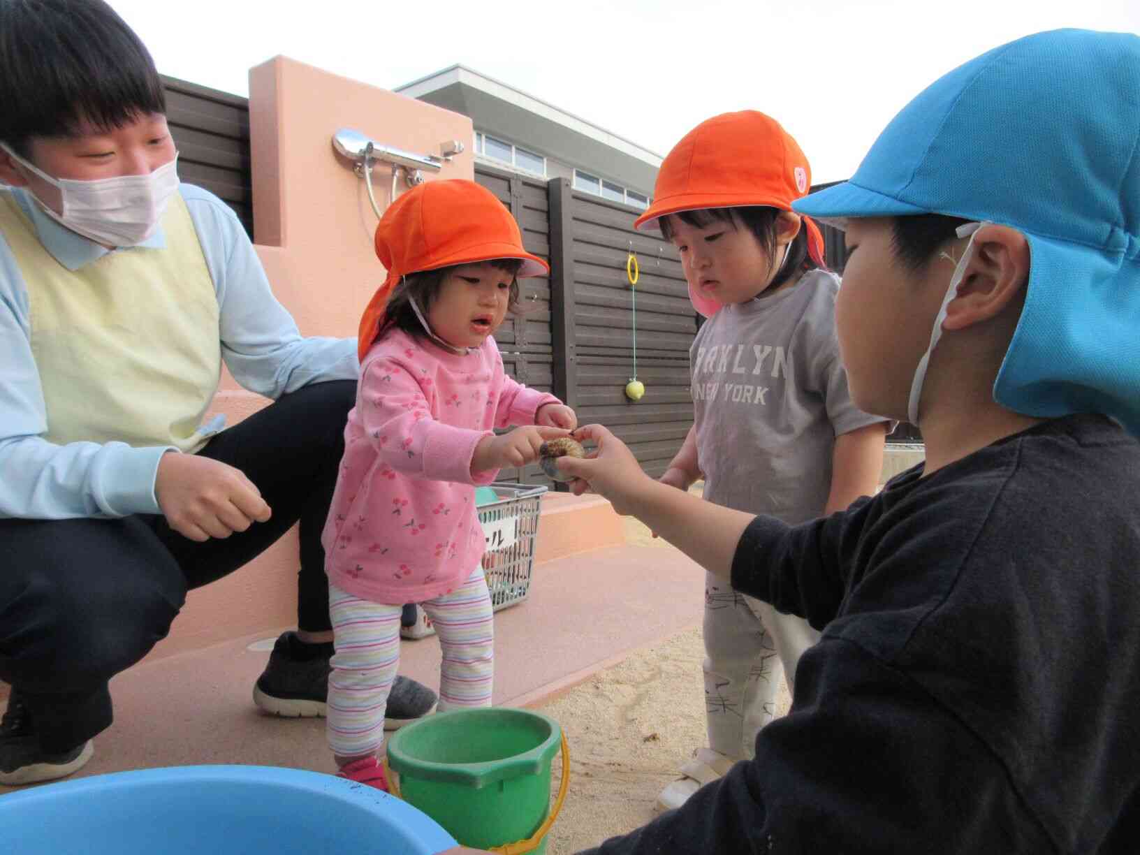 カブトムシの幼虫！！！