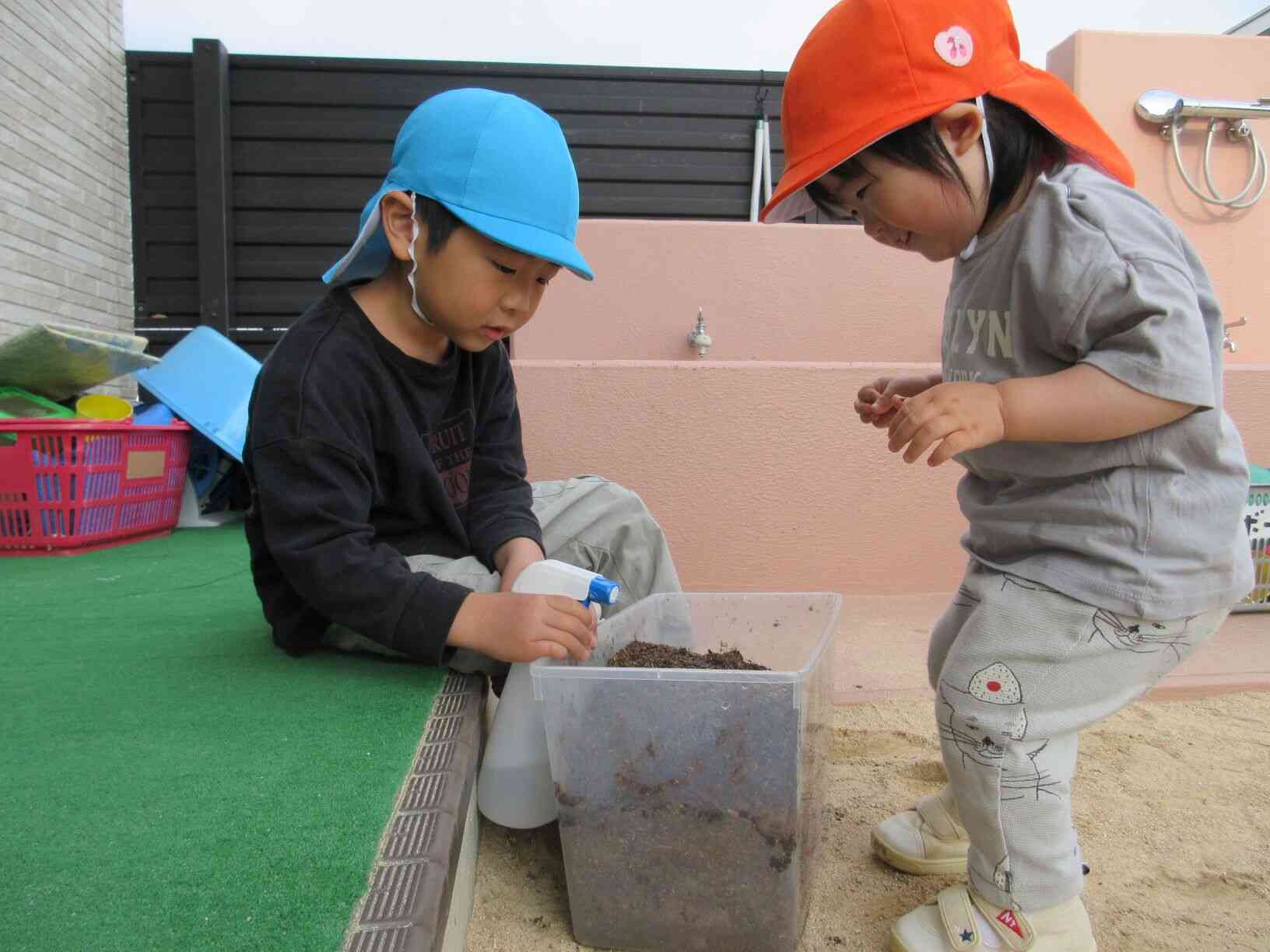 カブトムシの幼虫さんを霧吹きをしてお世話中♪