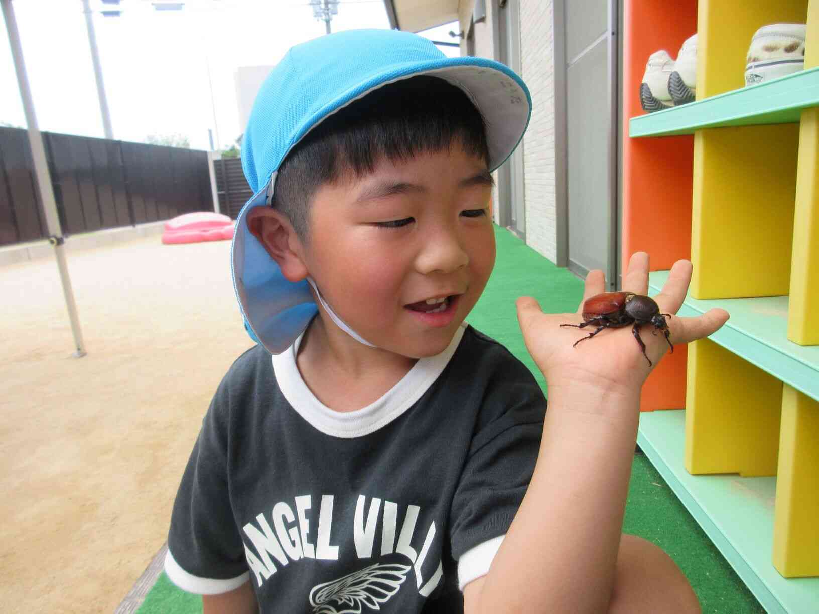 ついに、カブトムシが♡♡