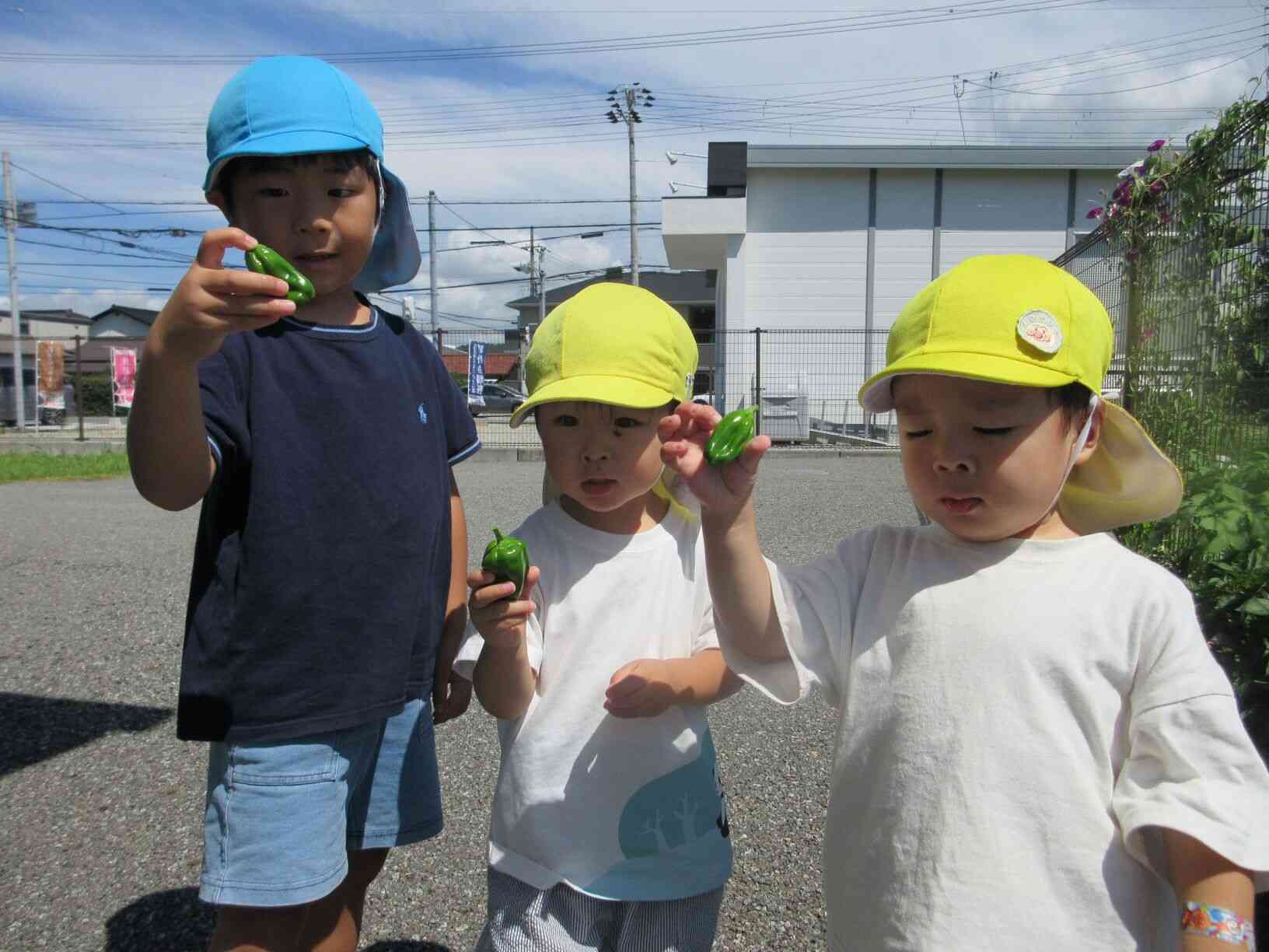 立派に成長