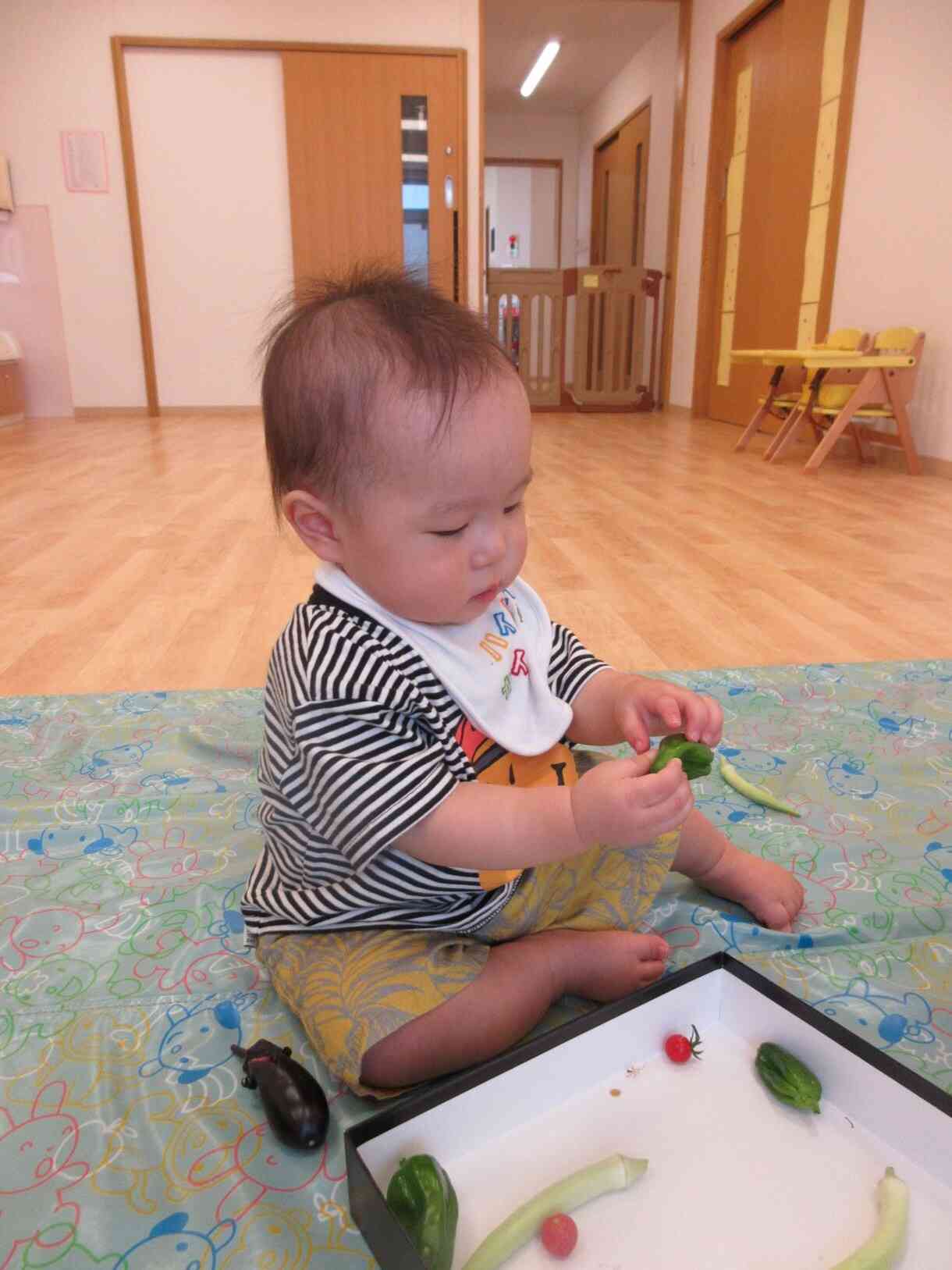 これはなんて言う野菜？？？初めて触ってみたよ♪