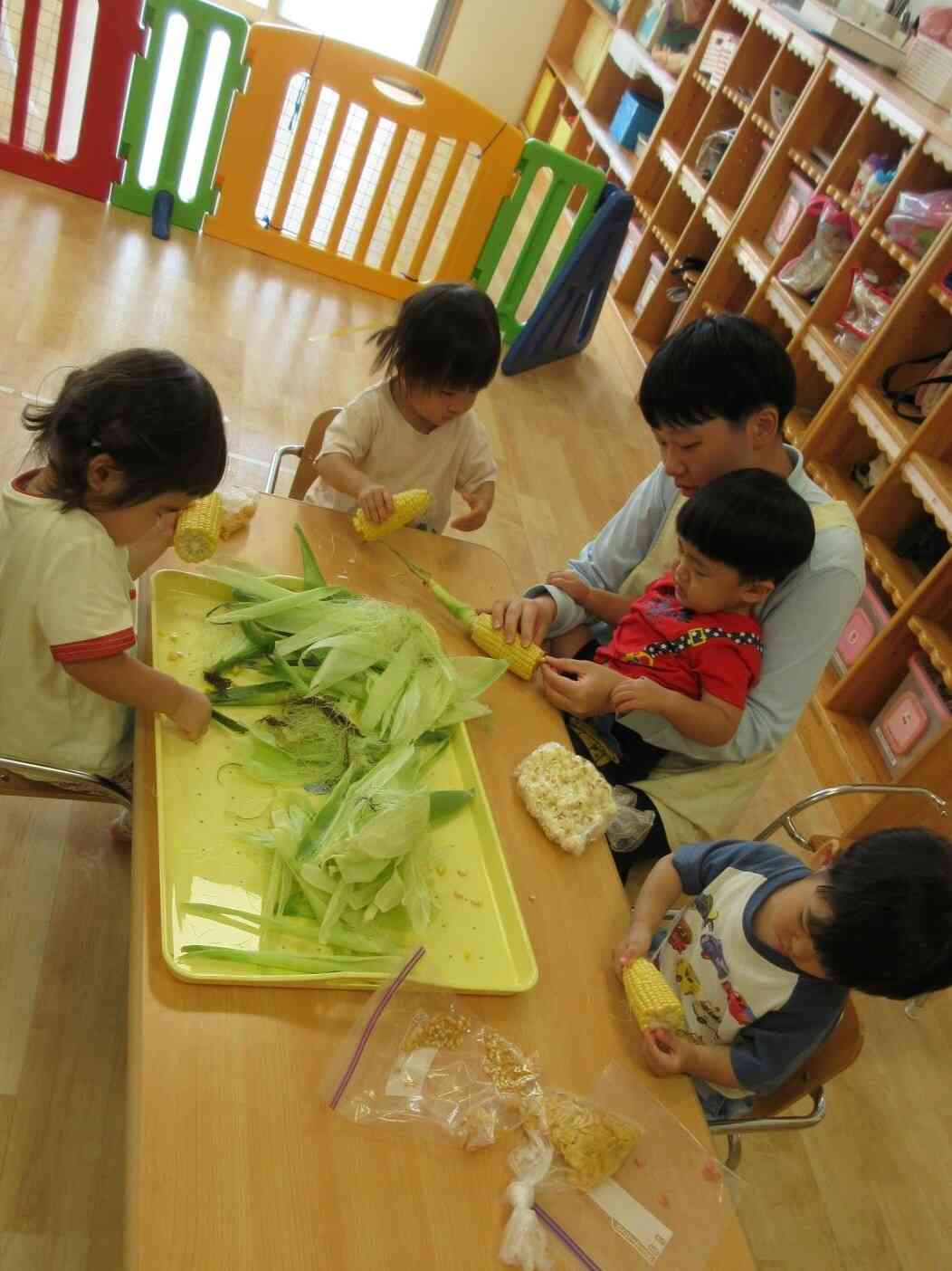 みんなでトウモロコシに夢中です。