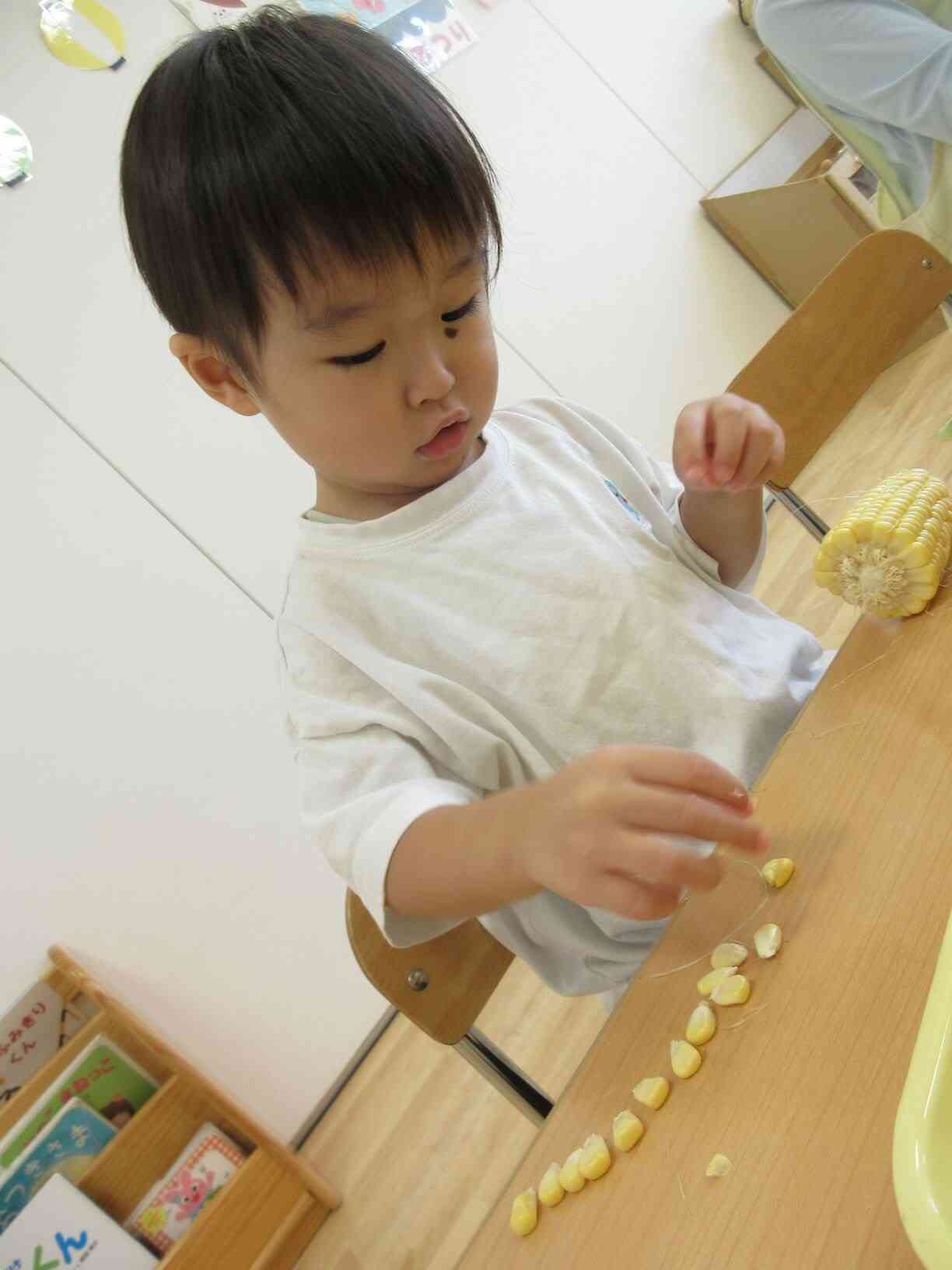とうもろこしを黙々と並べていました！！トウモロコシの道ができました！