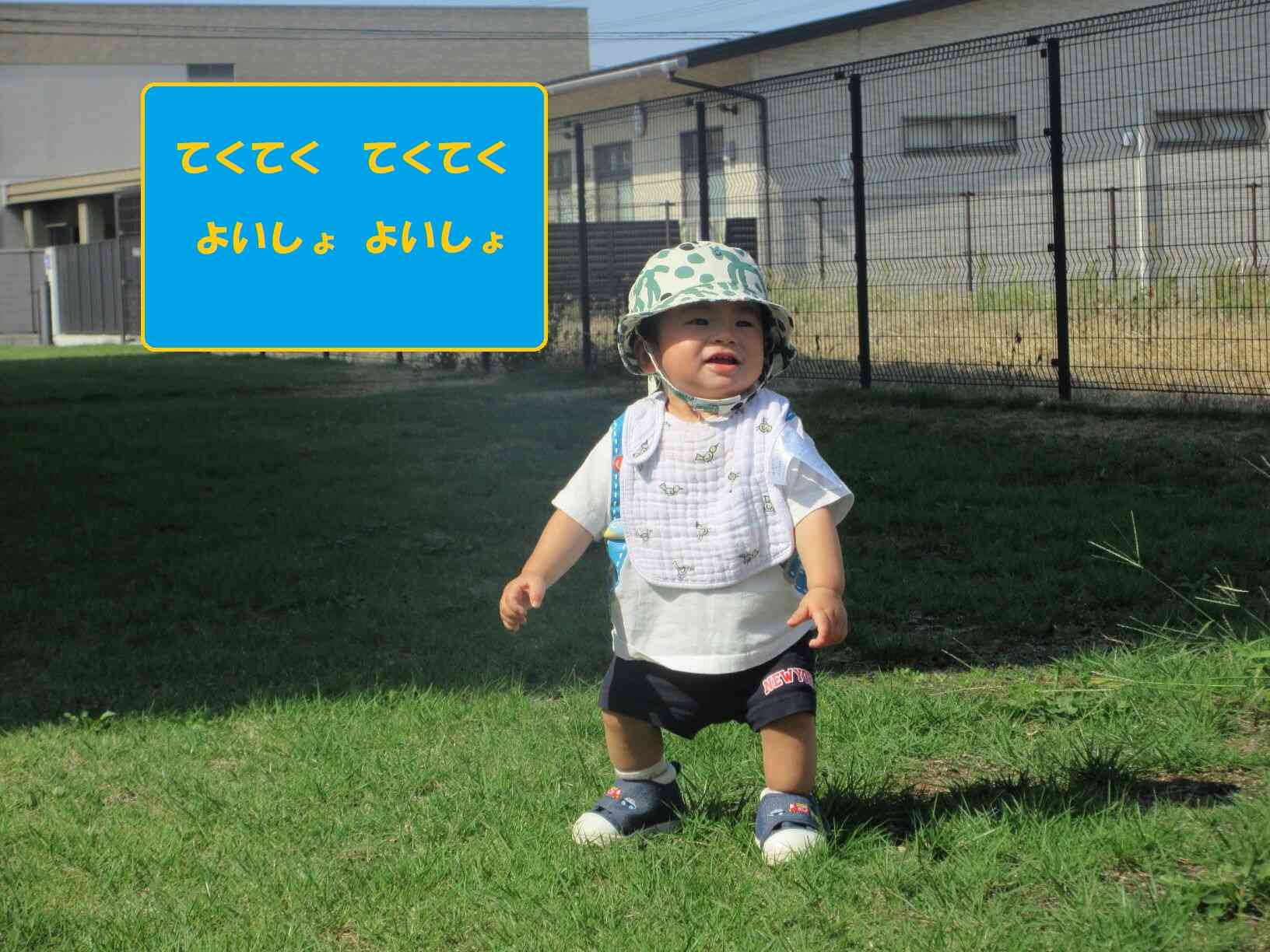 一人でも歩けるようになってきたね★転んでもフカフカ芝生で痛くないよ♡