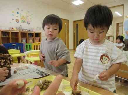 いろいろなキノコをちぎってみたよ!!