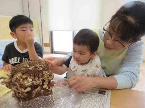 お部屋中、キノコのにおいで『くさ~い!!』と鼻をつまむ子も♡